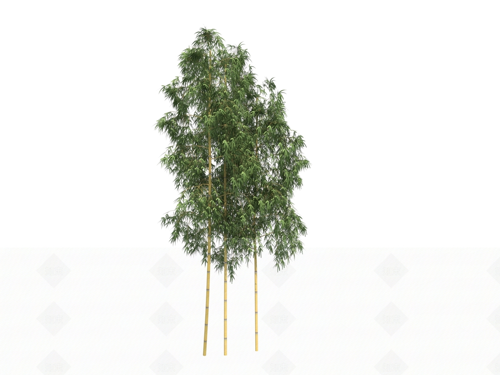 竹子3D模型下载【ID:1177839181】