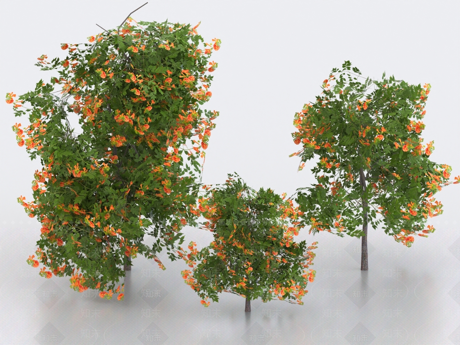 景观树3D模型下载【ID:1177842305】