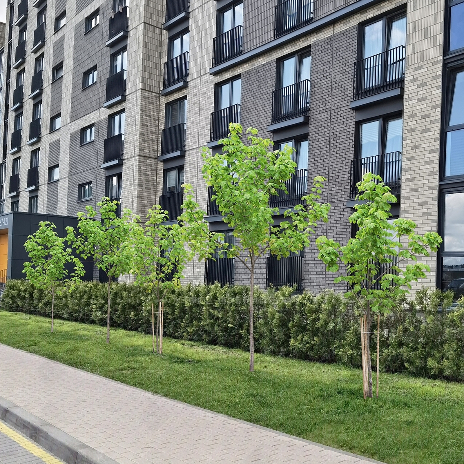 其他树木3D模型下载【ID:1177847735】