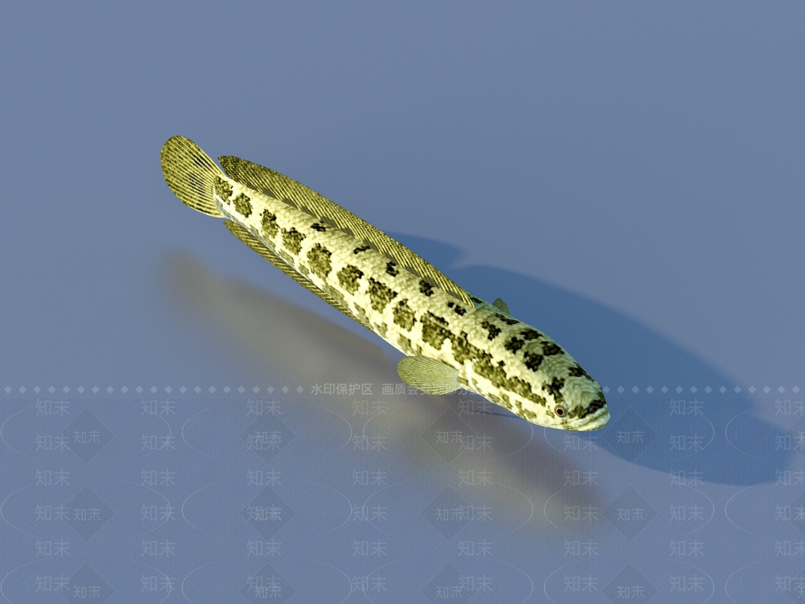 水生类动物3D模型下载【ID:1177852010】
