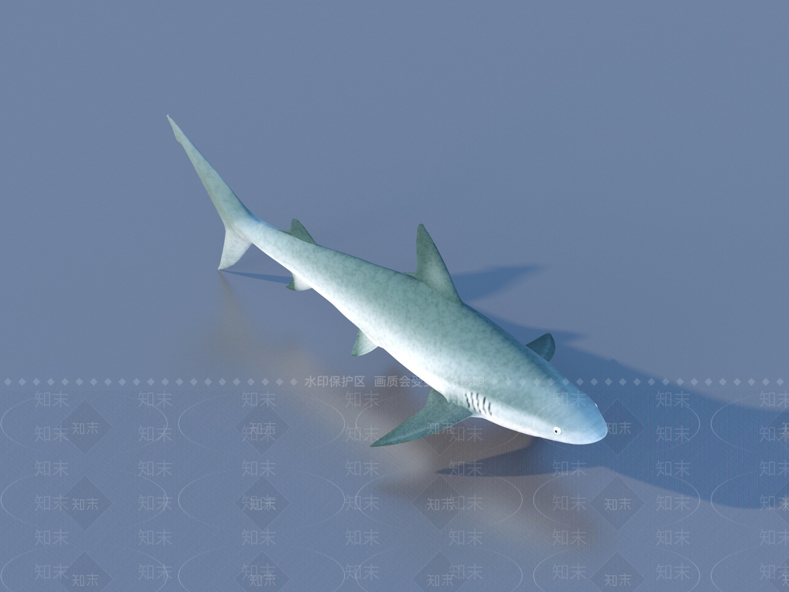 水生类动物3D模型下载【ID:1177853746】