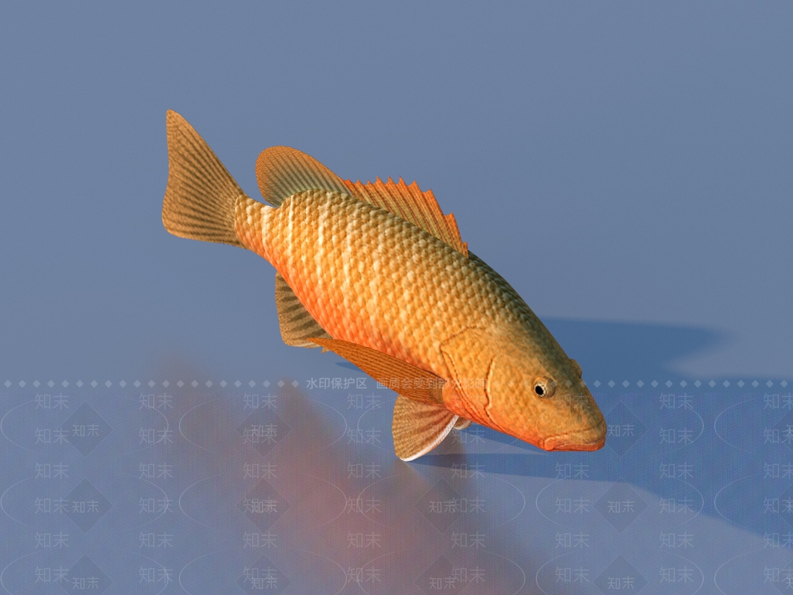 水生类动物3D模型下载【ID:1177853978】