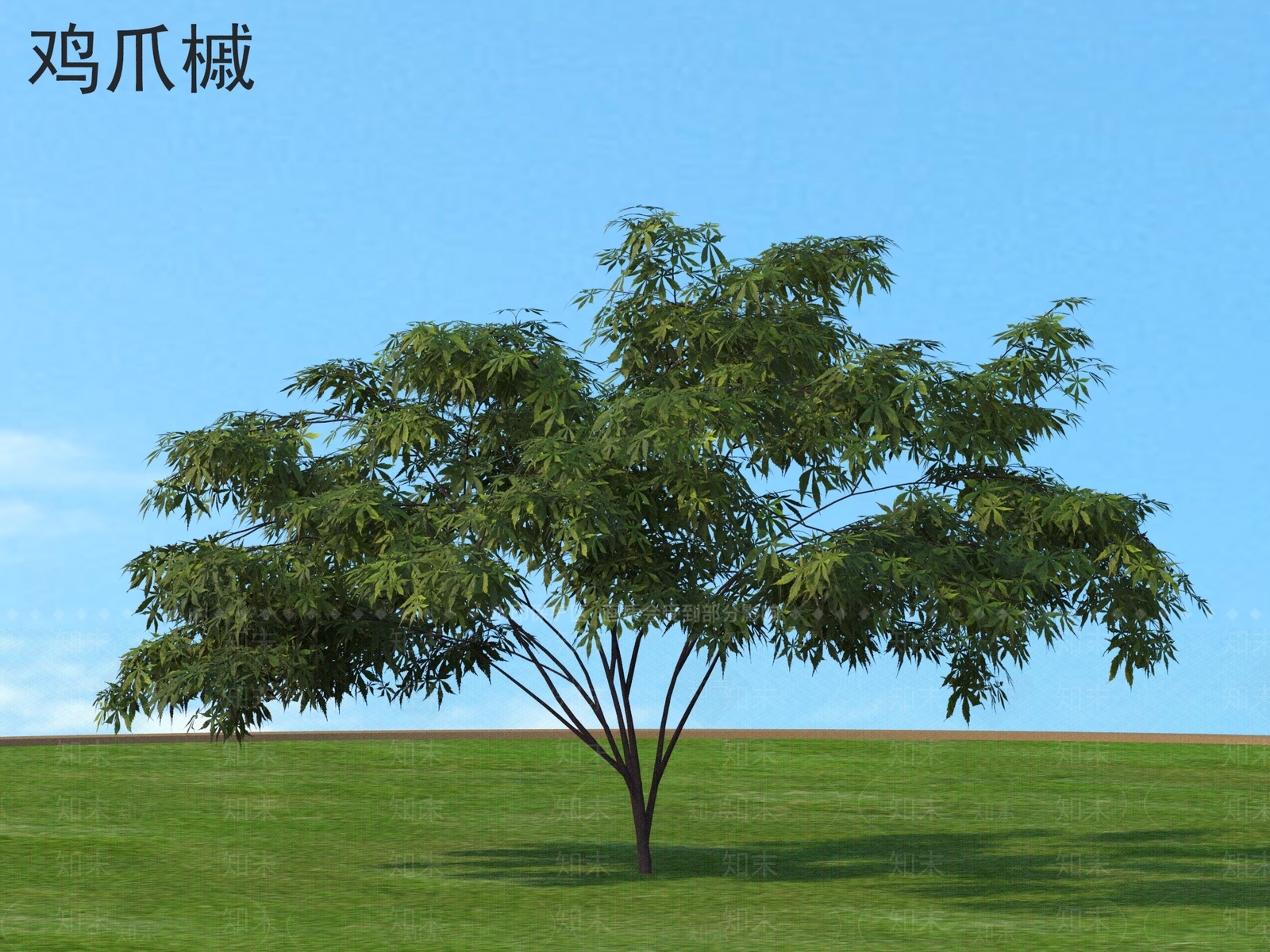 灌木3D模型下载【ID:1177890268】