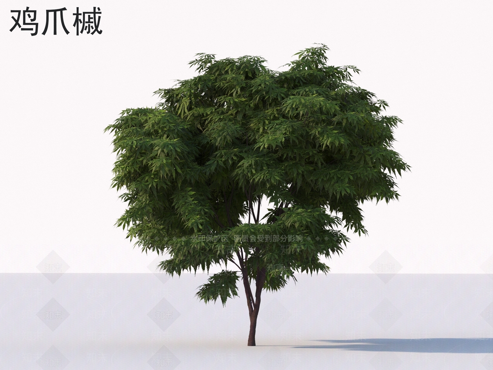 灌木3D模型下载【ID:1177890399】