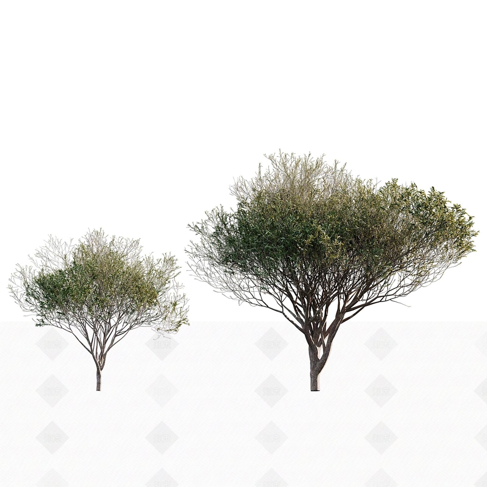 其他树木3D模型下载【ID:1177902687】
