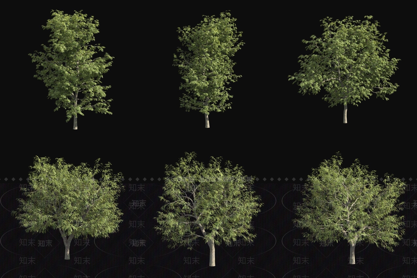 景观树3D模型下载【ID:1177914432】