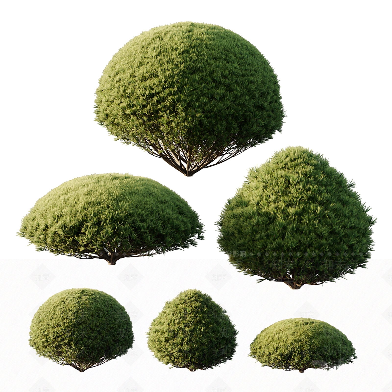 灌木3D模型下载【ID:1177961012】