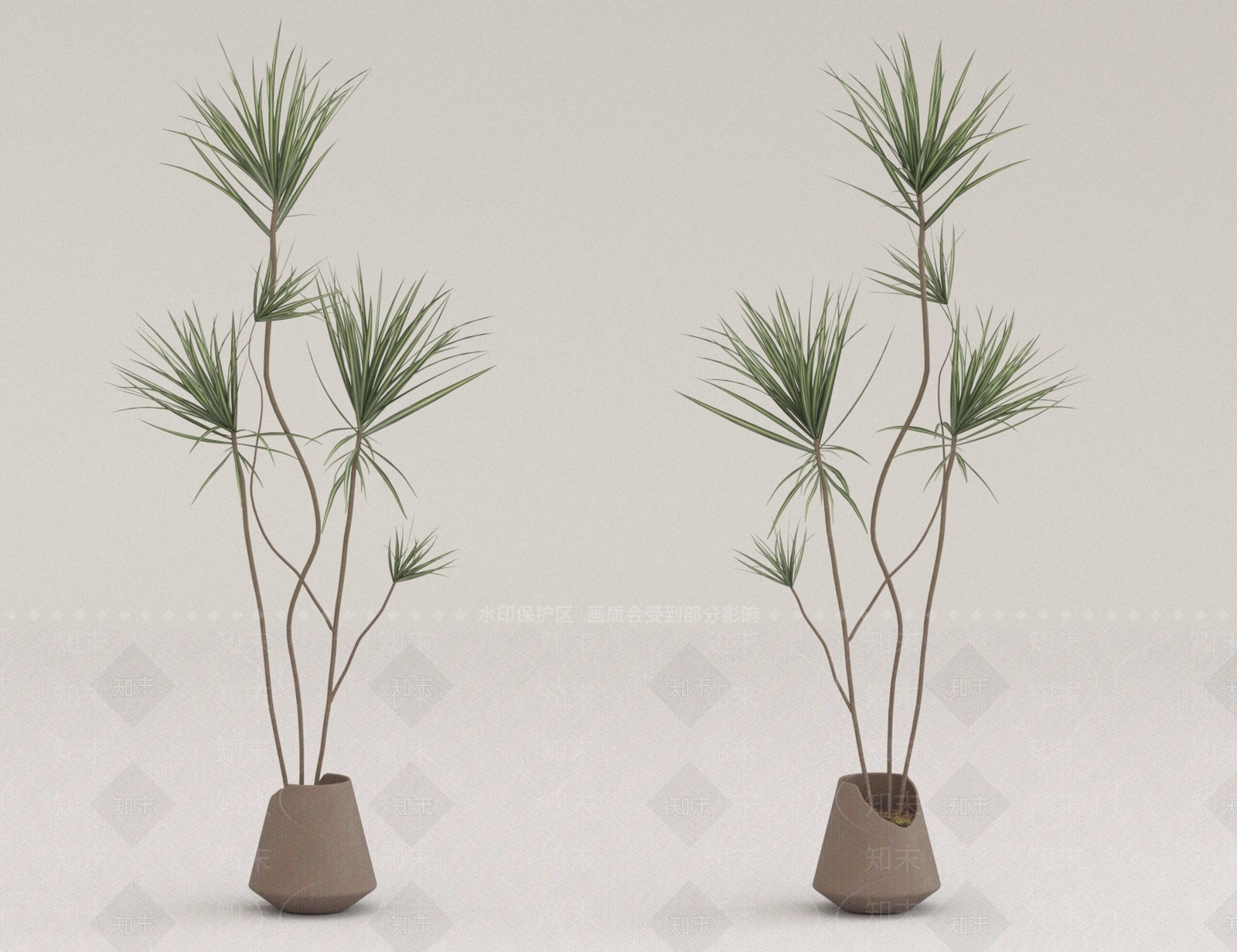 其他绿植3D模型下载【ID:1178011497】