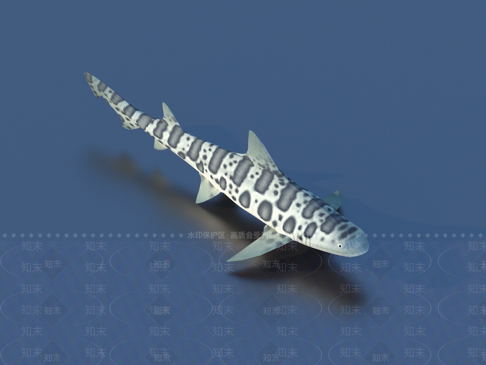 水生类动物3D模型下载【ID:1178019237】