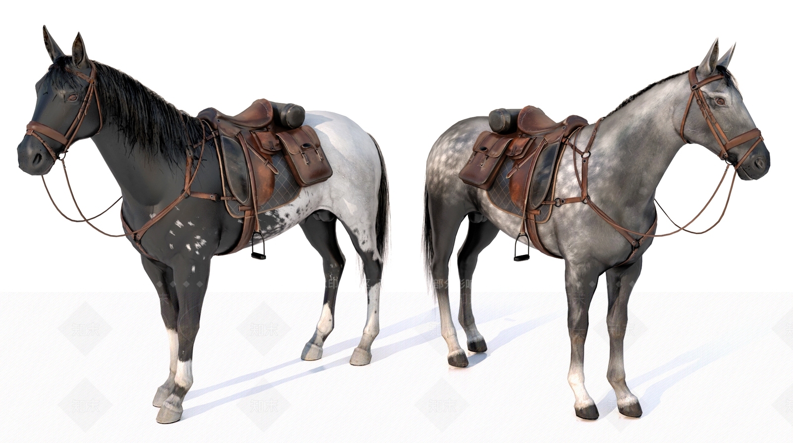 家禽类动物3D模型下载【ID:1178019967】
