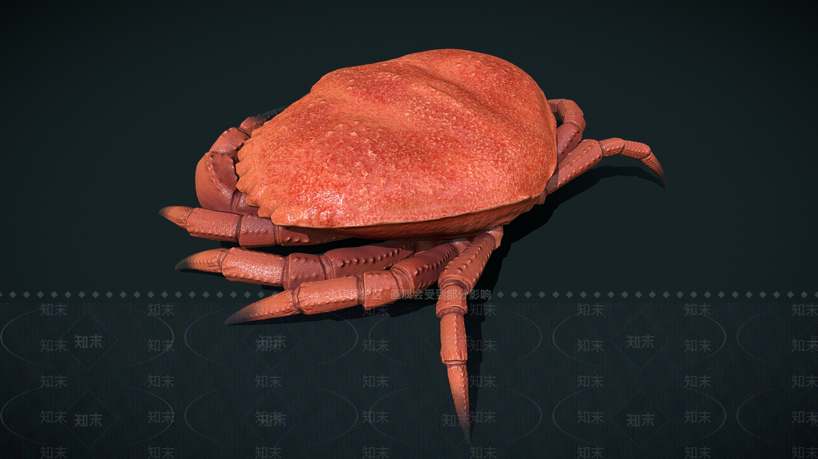 爬行类动物3D模型下载【ID:1178051748】