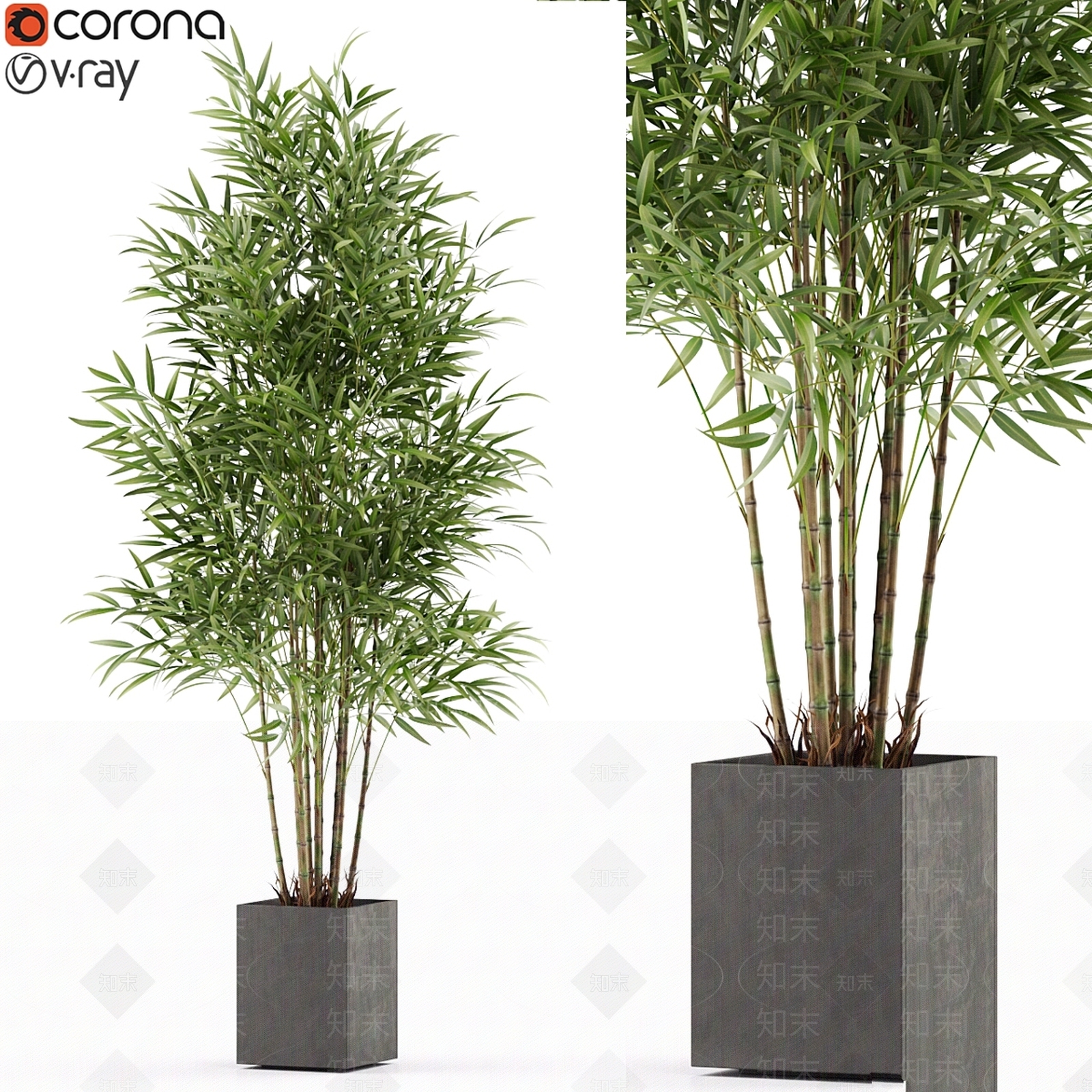 盆栽3D模型下载【ID:1178054009】