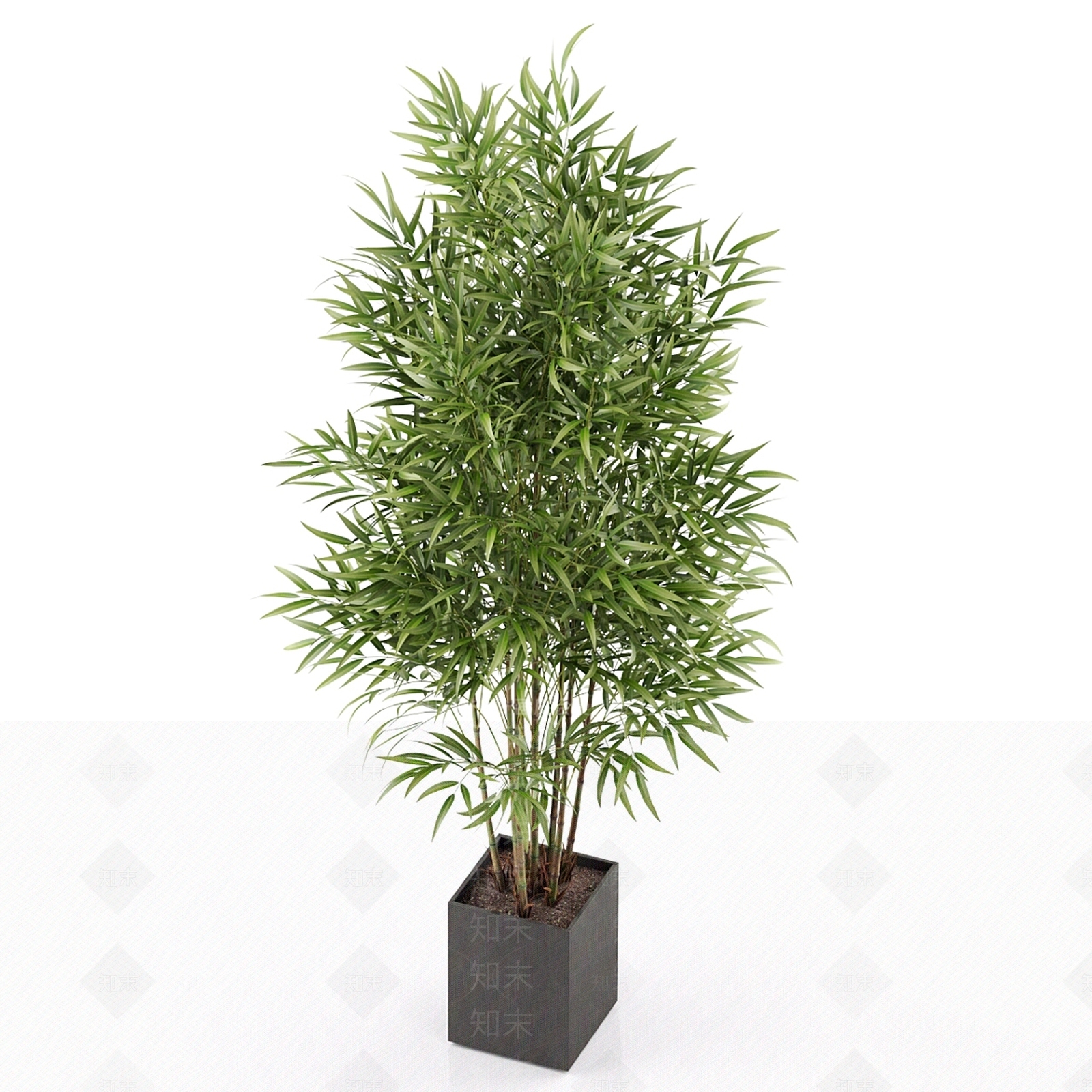 盆栽3D模型下载【ID:1178054009】