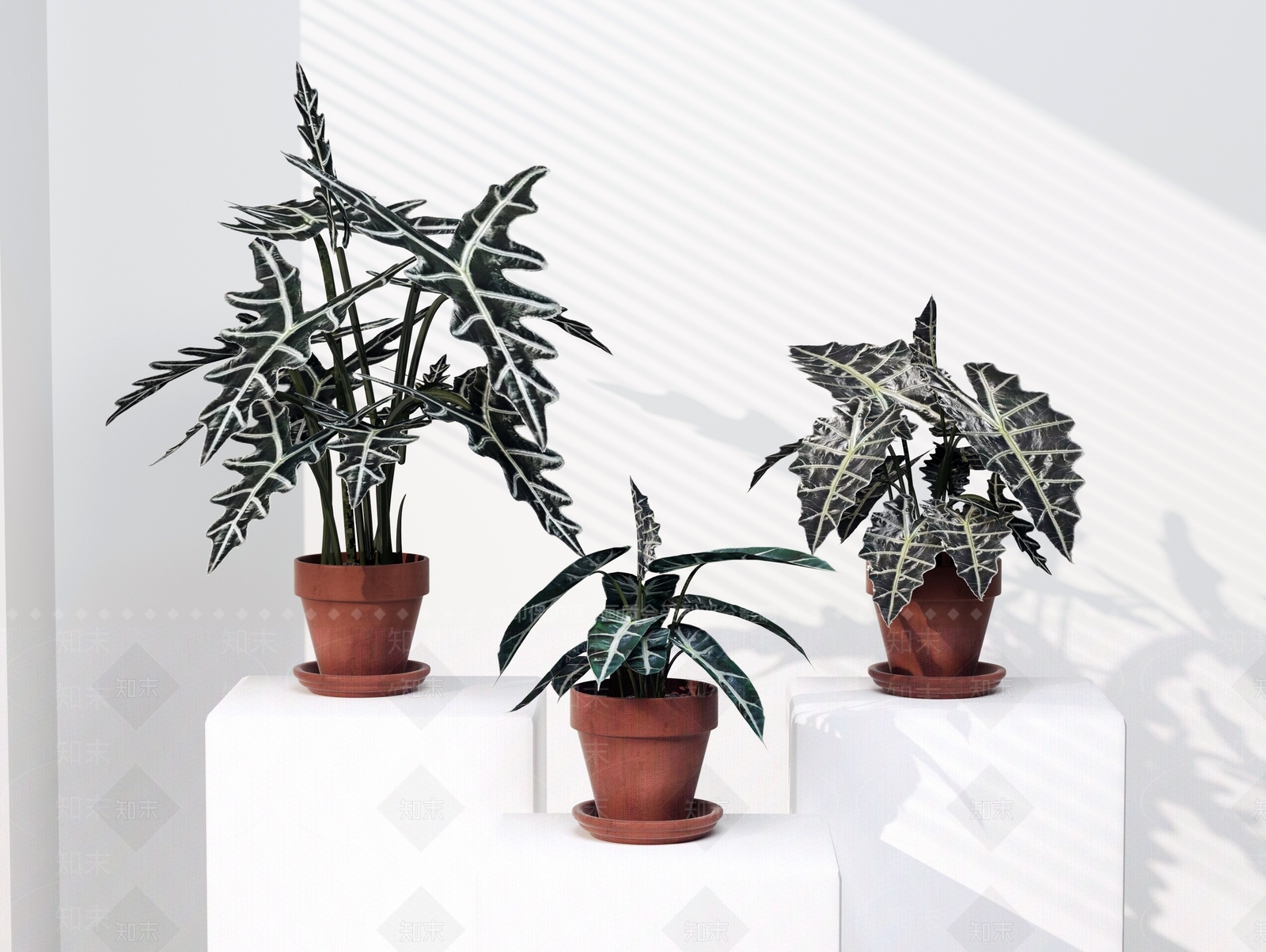 盆栽3D模型下载【ID:1178054606】