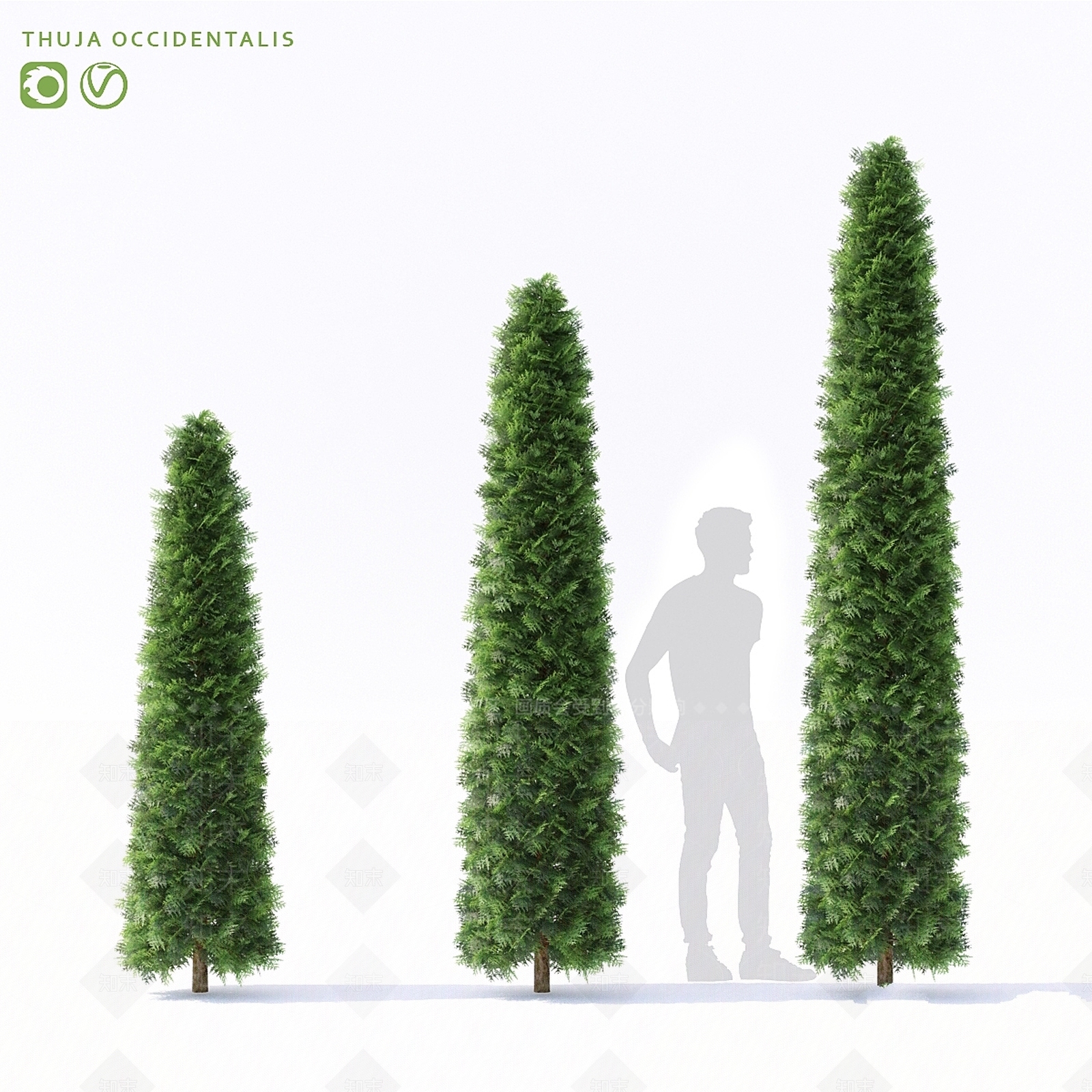 其他树木3D模型下载【ID:1178101586】