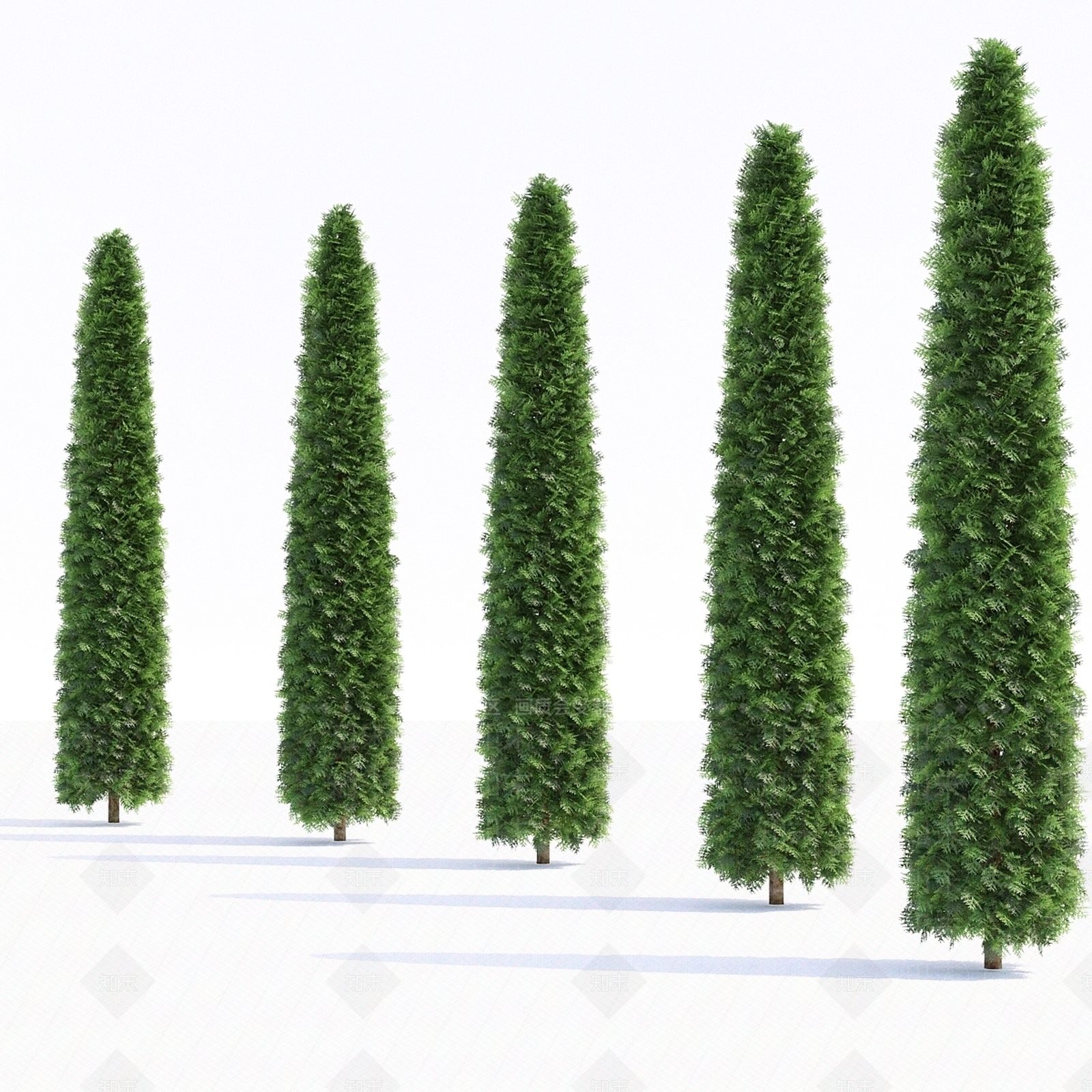 其他树木3D模型下载【ID:1178101586】
