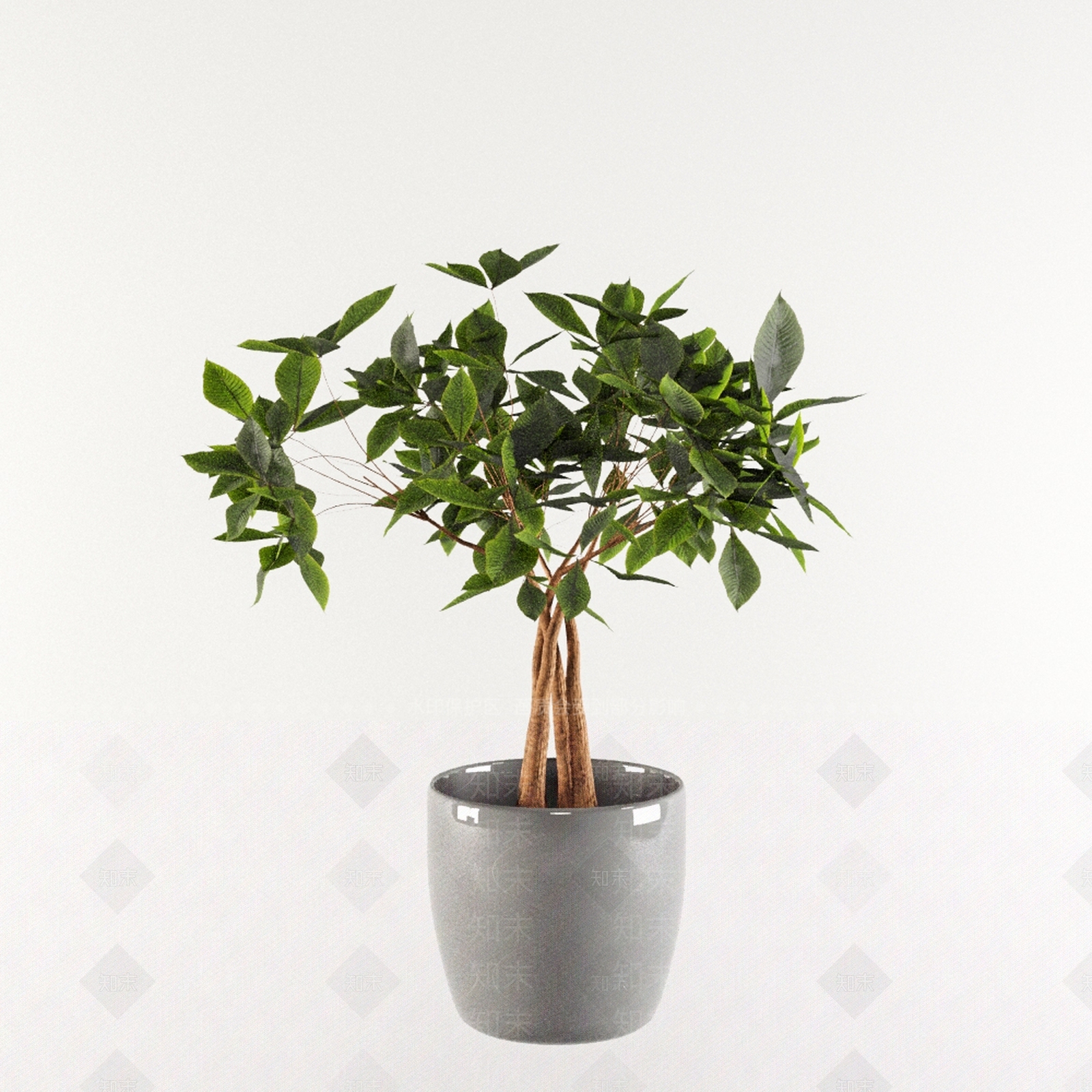盆栽3D模型下载【ID:1178120999】