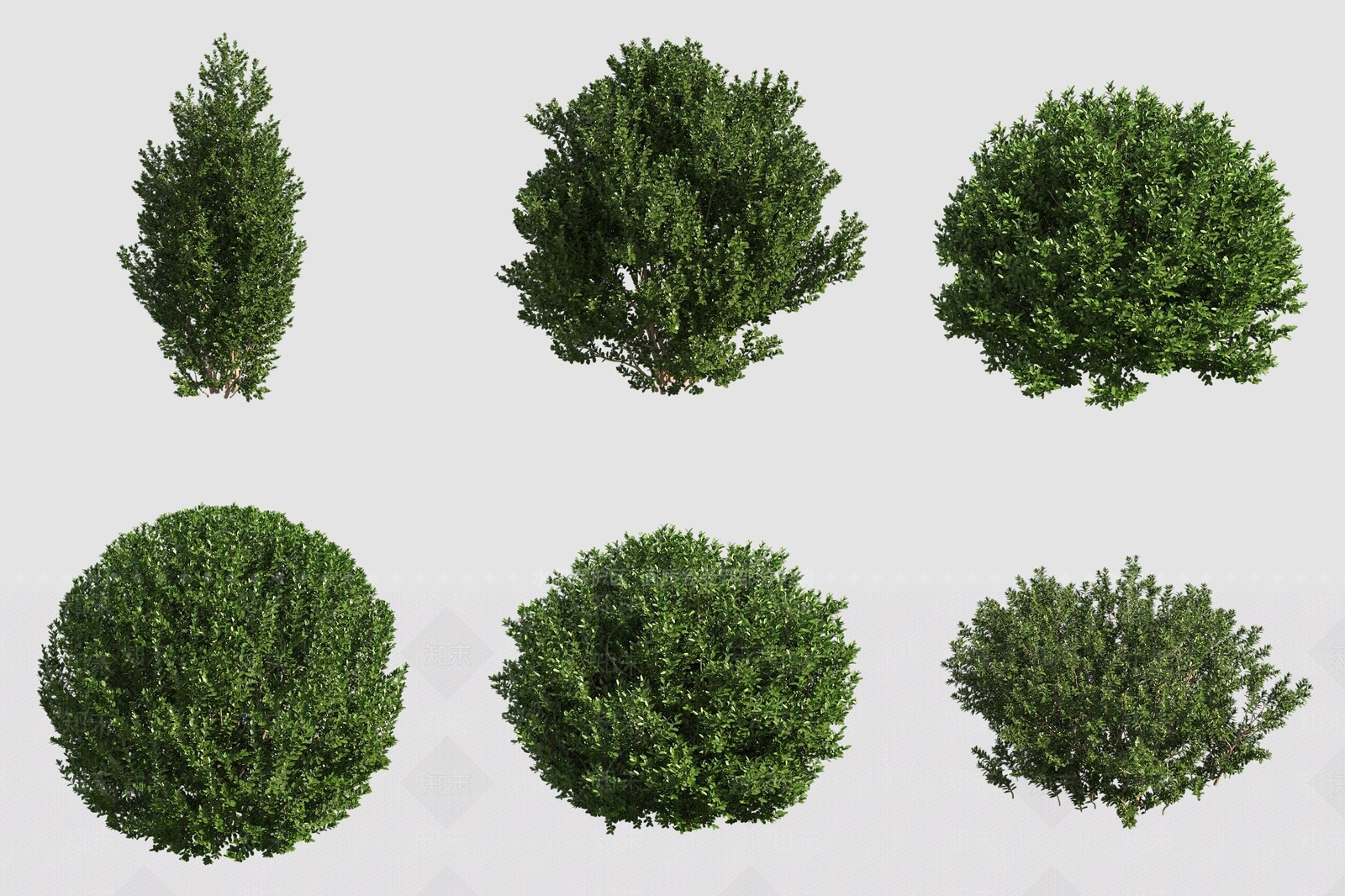 景观树3D模型下载【ID:1178123088】