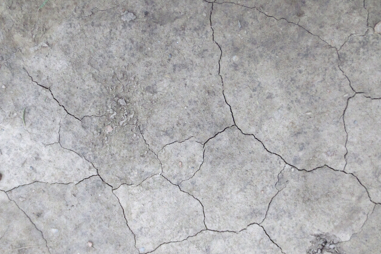 现代其它地面贴图下载【ID:1178149297】