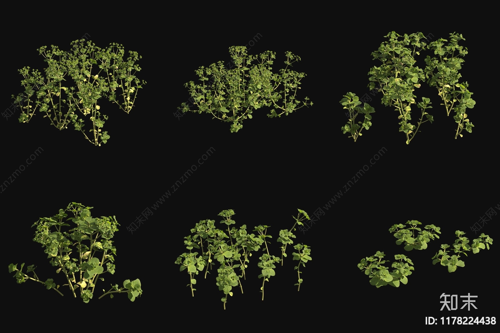 花草组合3D模型下载【ID:1178224438】