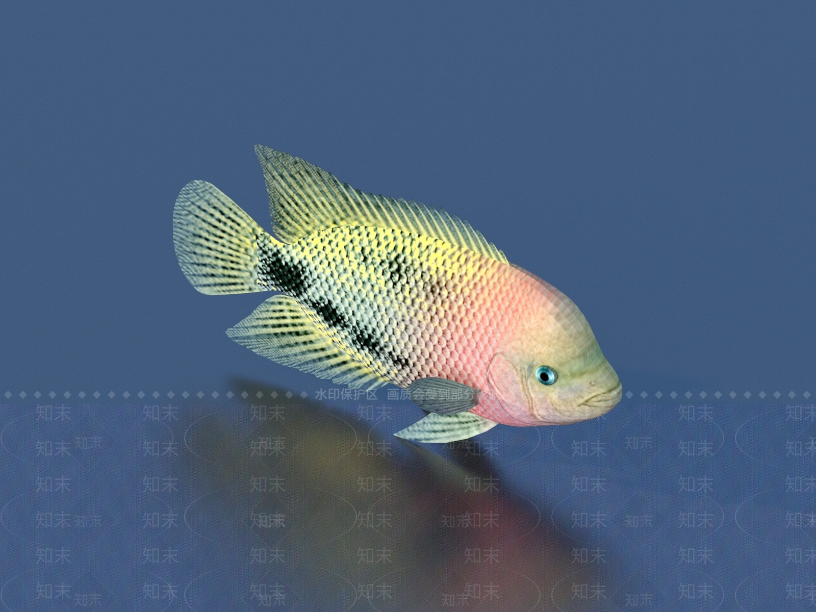 水生类动物3D模型下载【ID:1178245974】