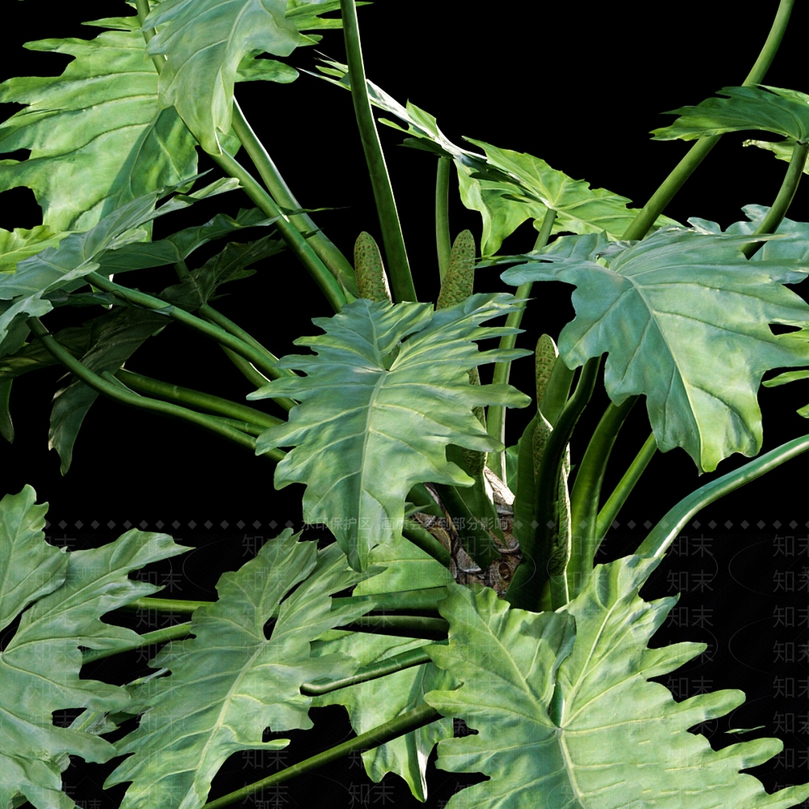 其他绿植3D模型下载【ID:1178272935】