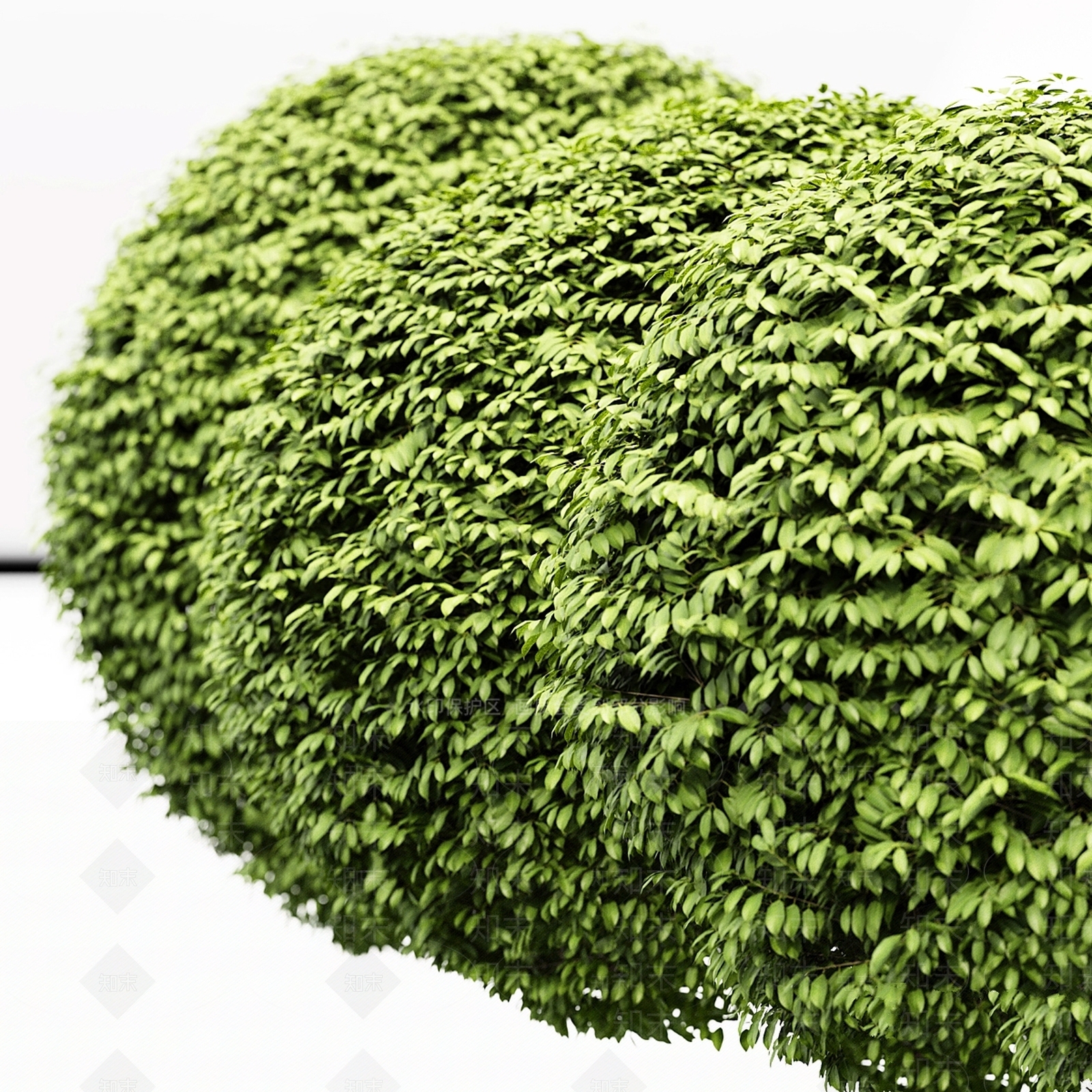 灌木3D模型下载【ID:1178280555】