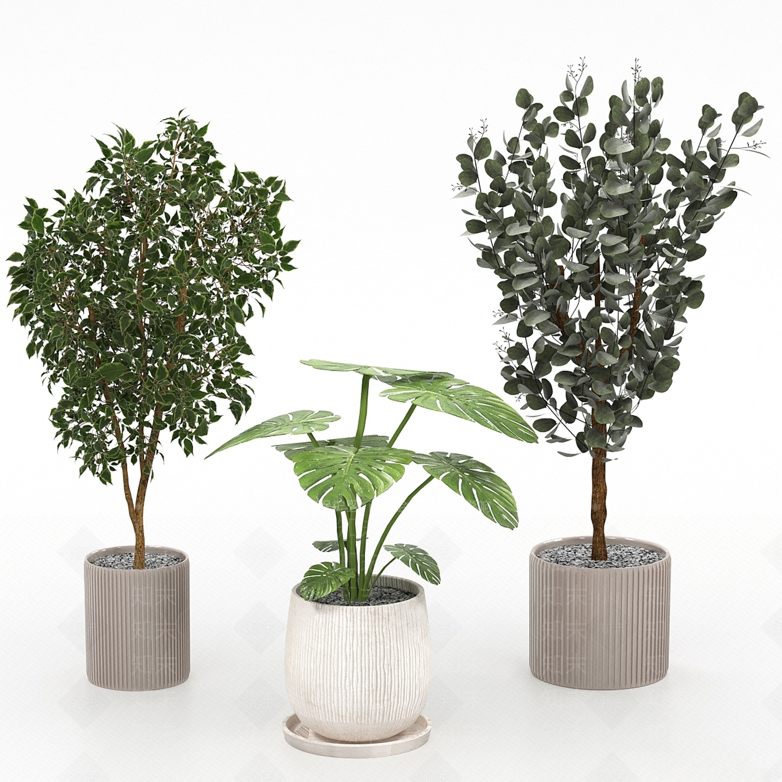 盆栽3D模型下载【ID:1178282443】