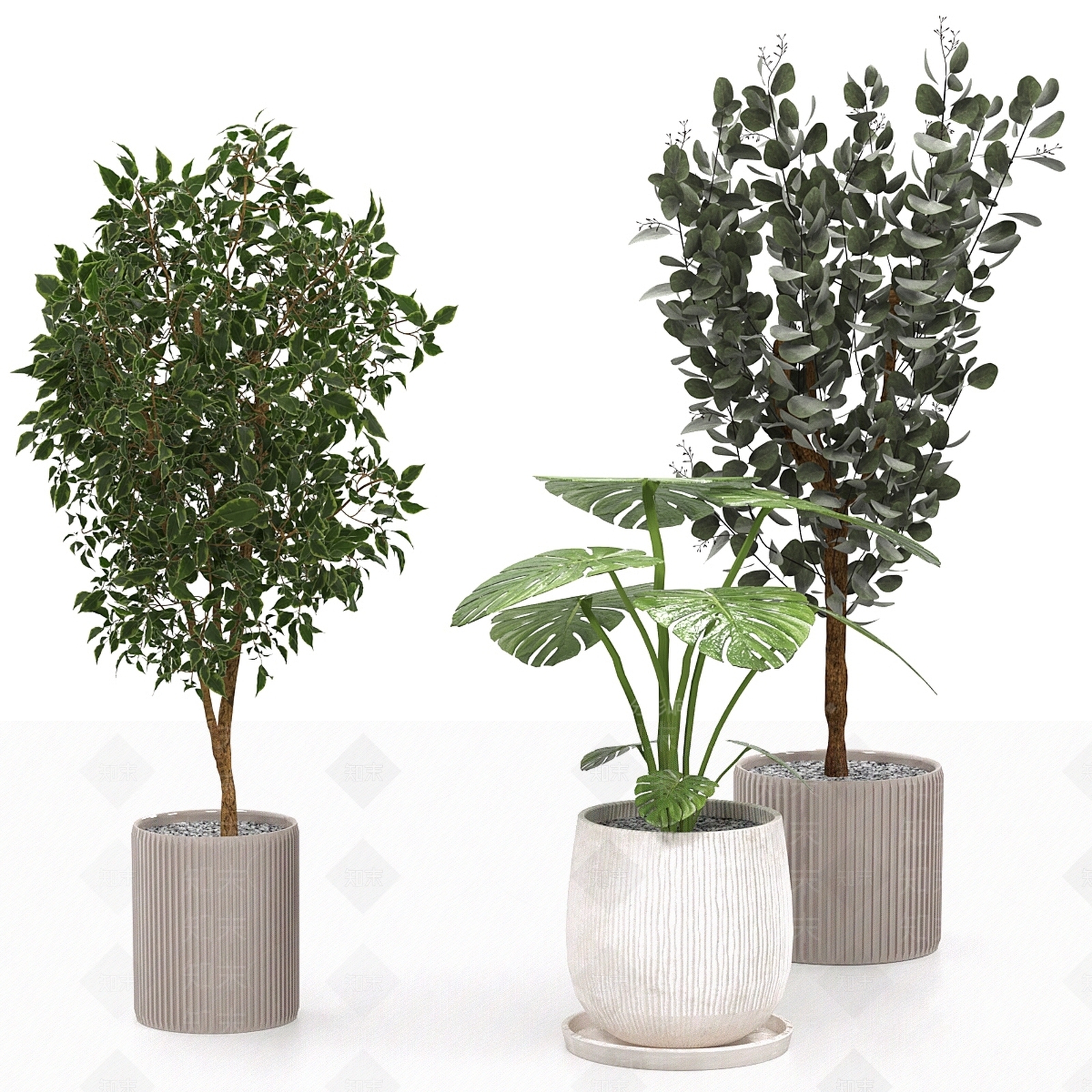盆栽3D模型下载【ID:1178282443】