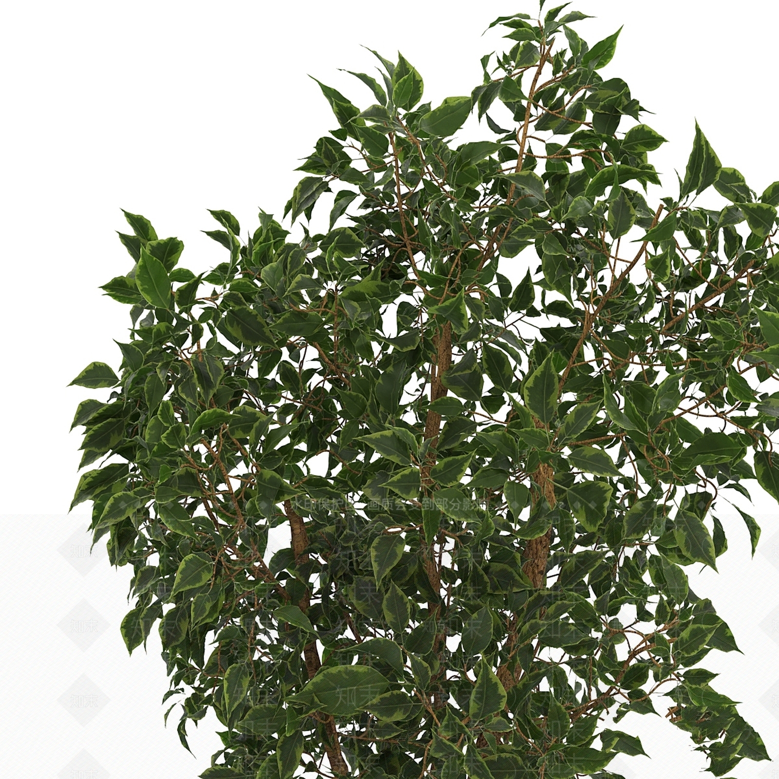 盆栽3D模型下载【ID:1178282443】