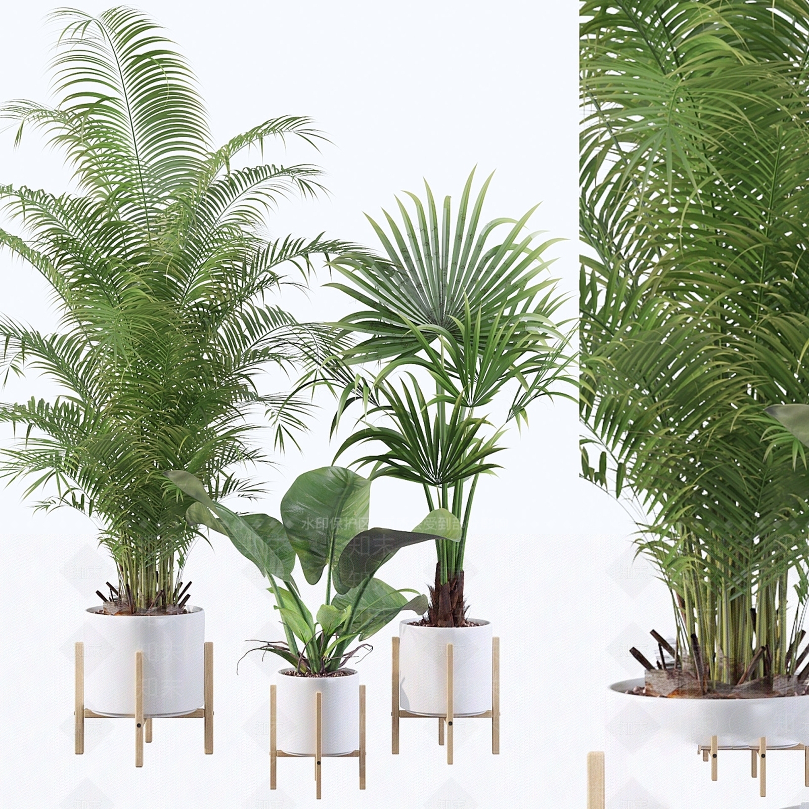 盆栽3D模型下载【ID:1178283870】