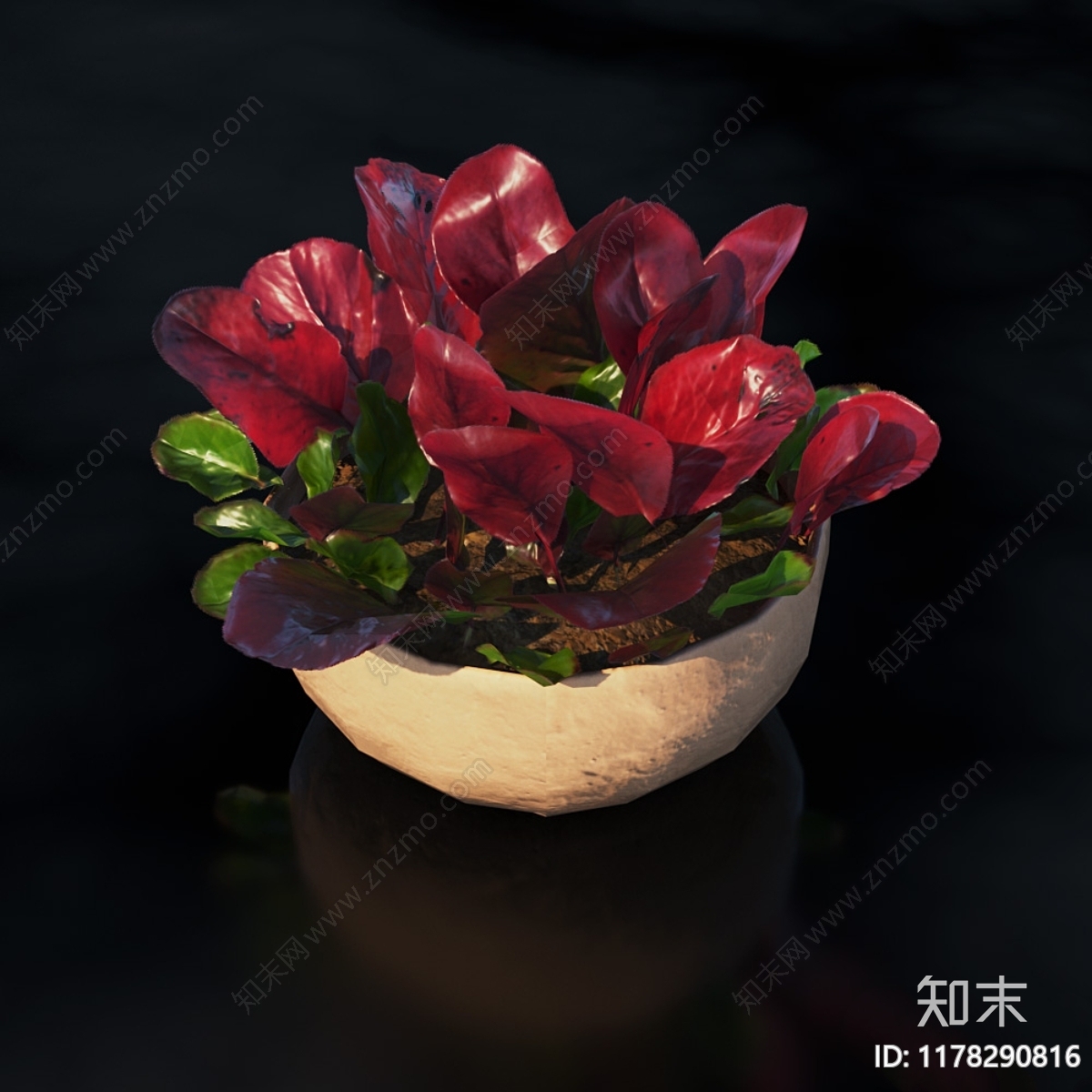 盆栽3D模型下载【ID:1178290816】