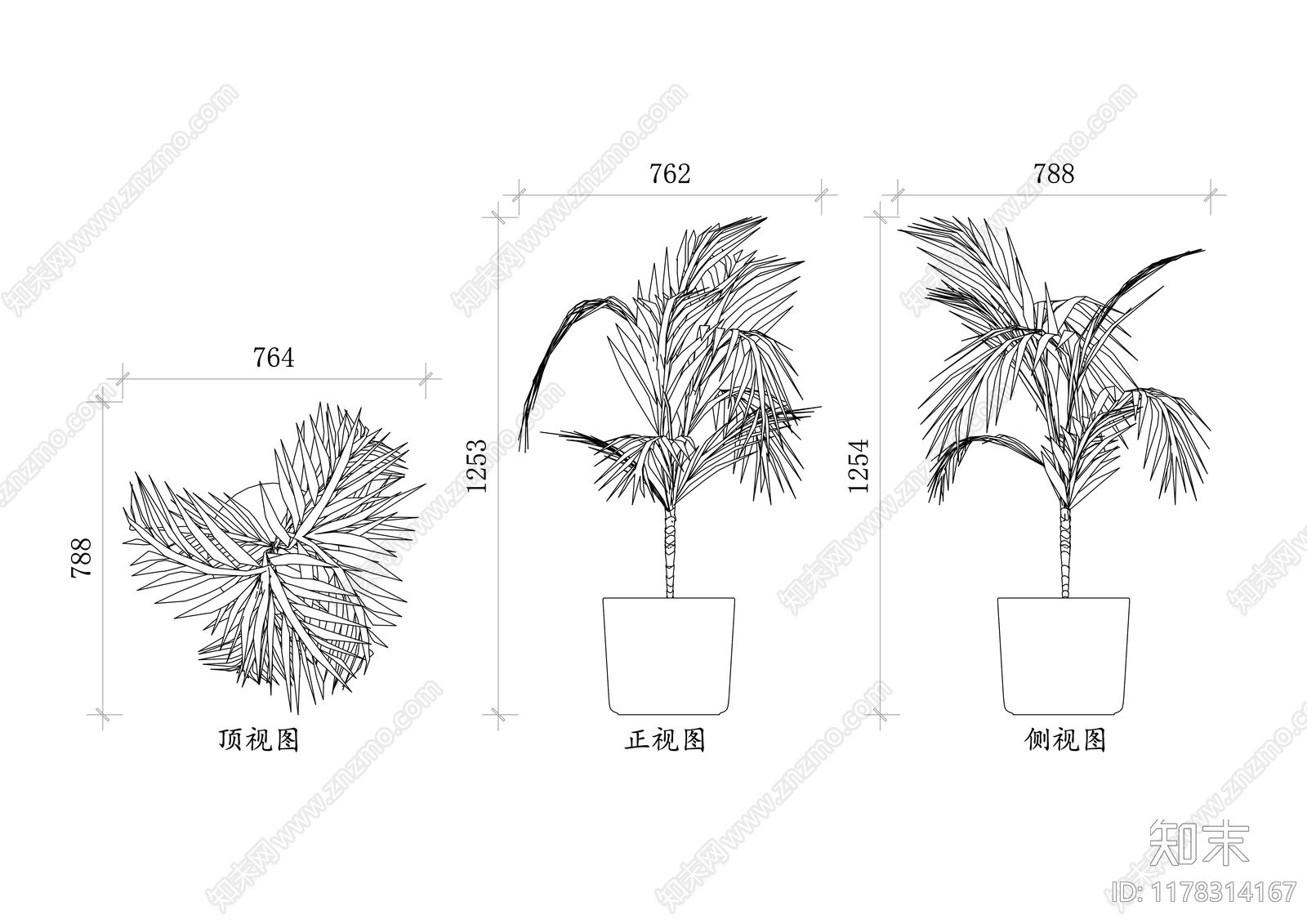 现代树施工图下载【ID:1178314167】