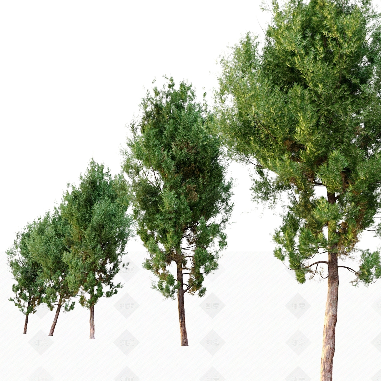 其他树木3D模型下载【ID:1178321755】