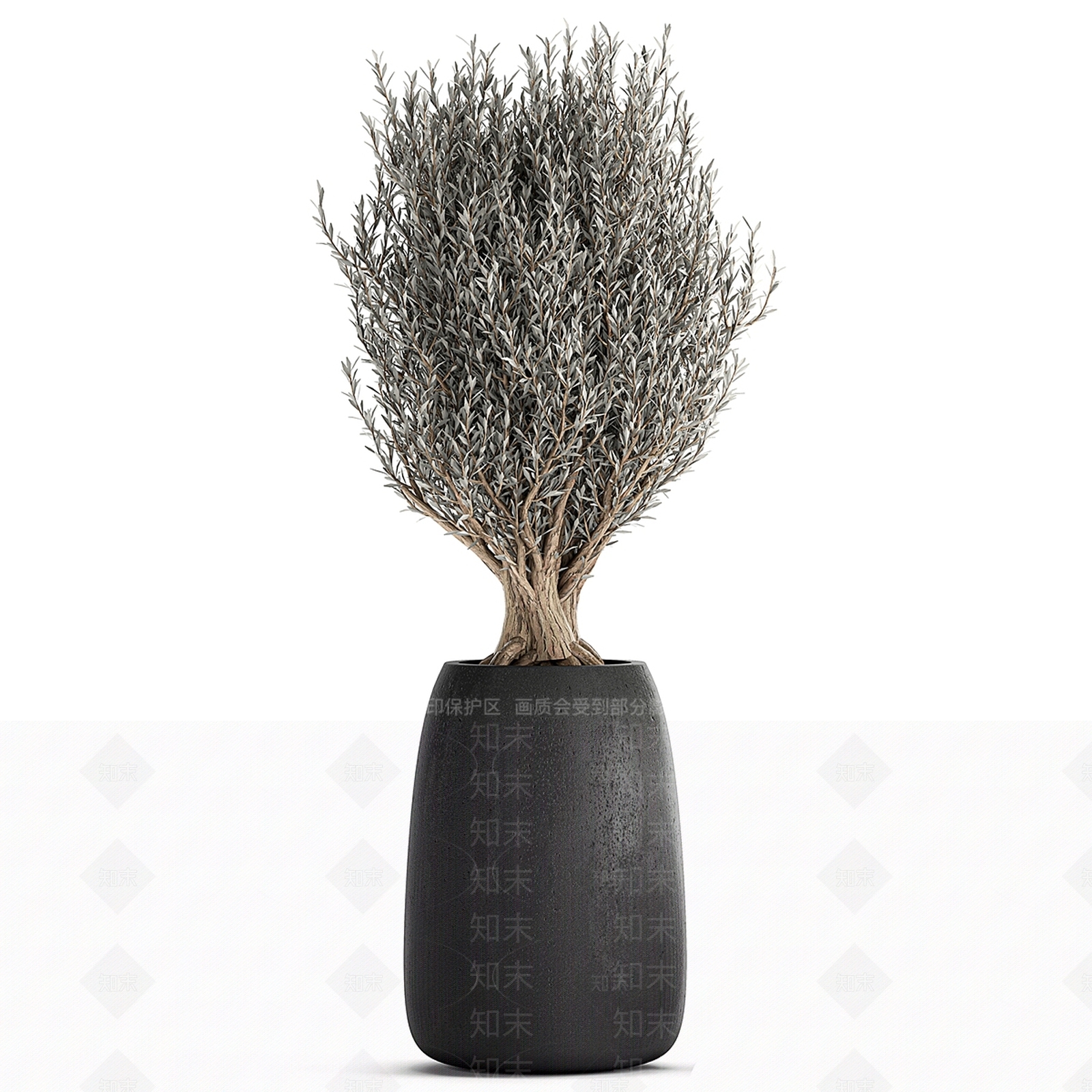 其他绿植3D模型下载【ID:1178336622】
