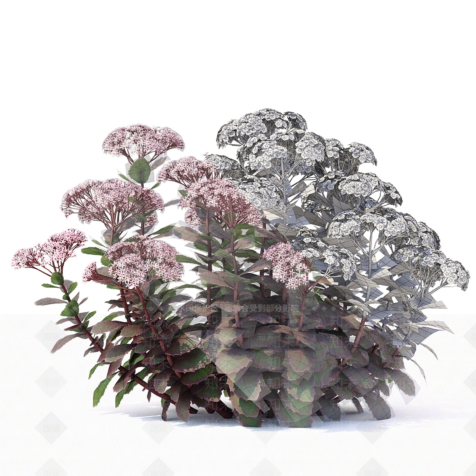 其他绿植3D模型下载【ID:1178351715】