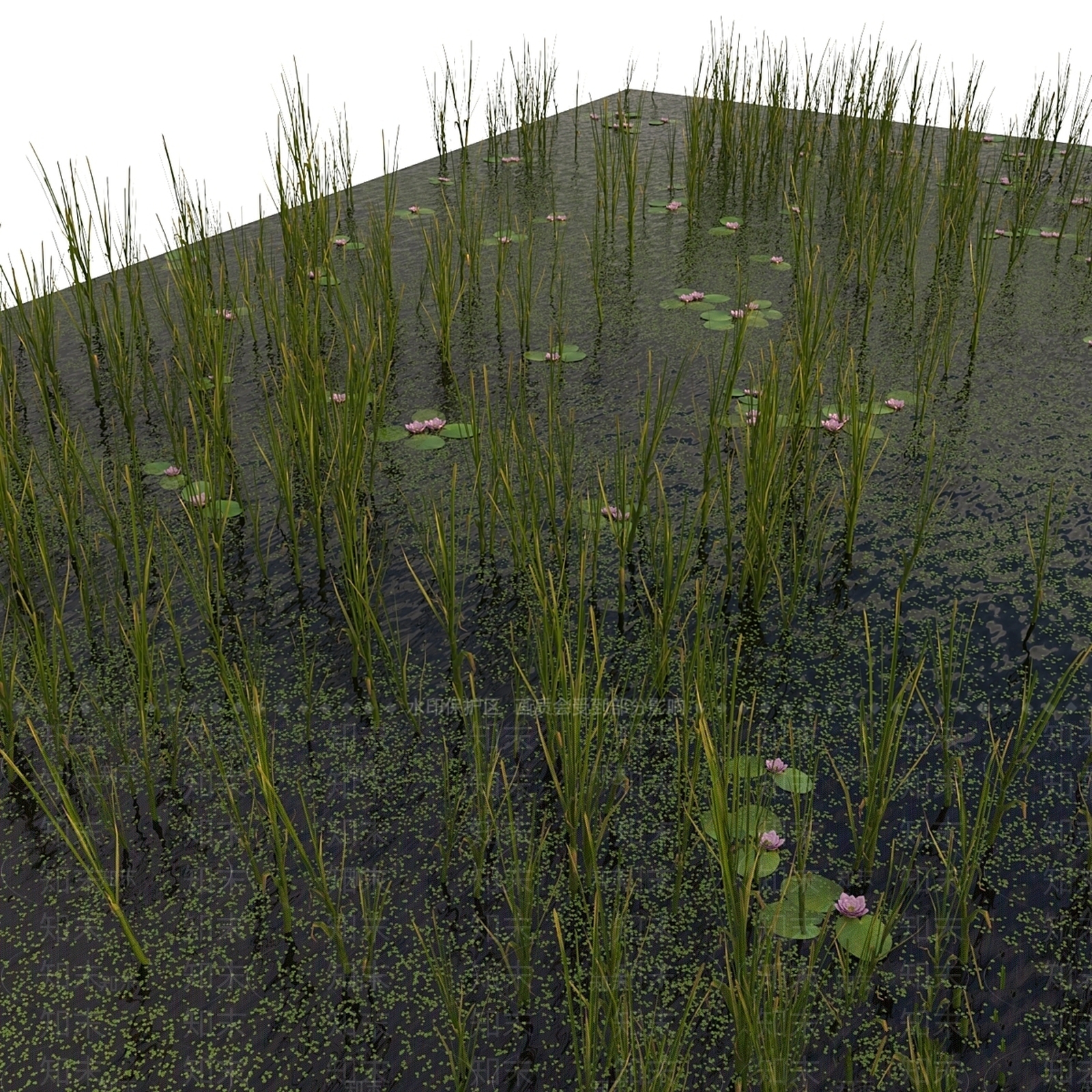 其他绿植3D模型下载【ID:1178358808】
