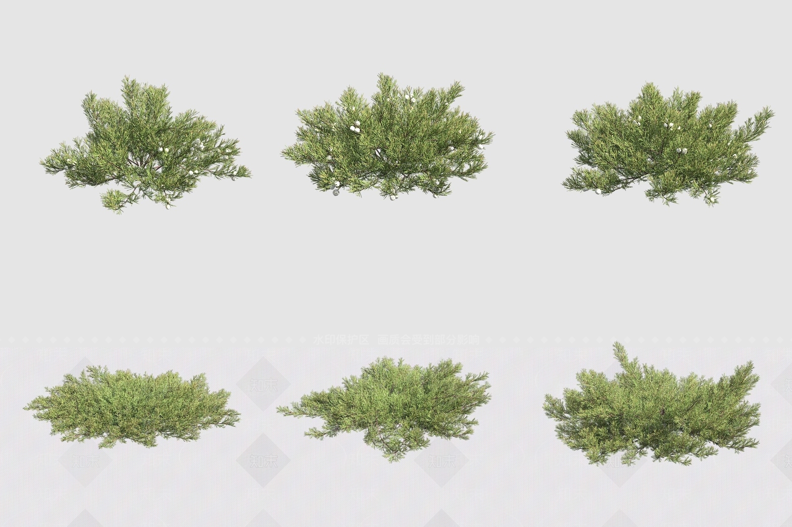 灌木3D模型下载【ID:1178383520】