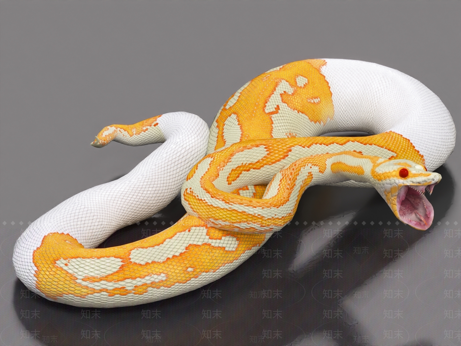 爬行类动物3D模型下载【ID:1178388134】