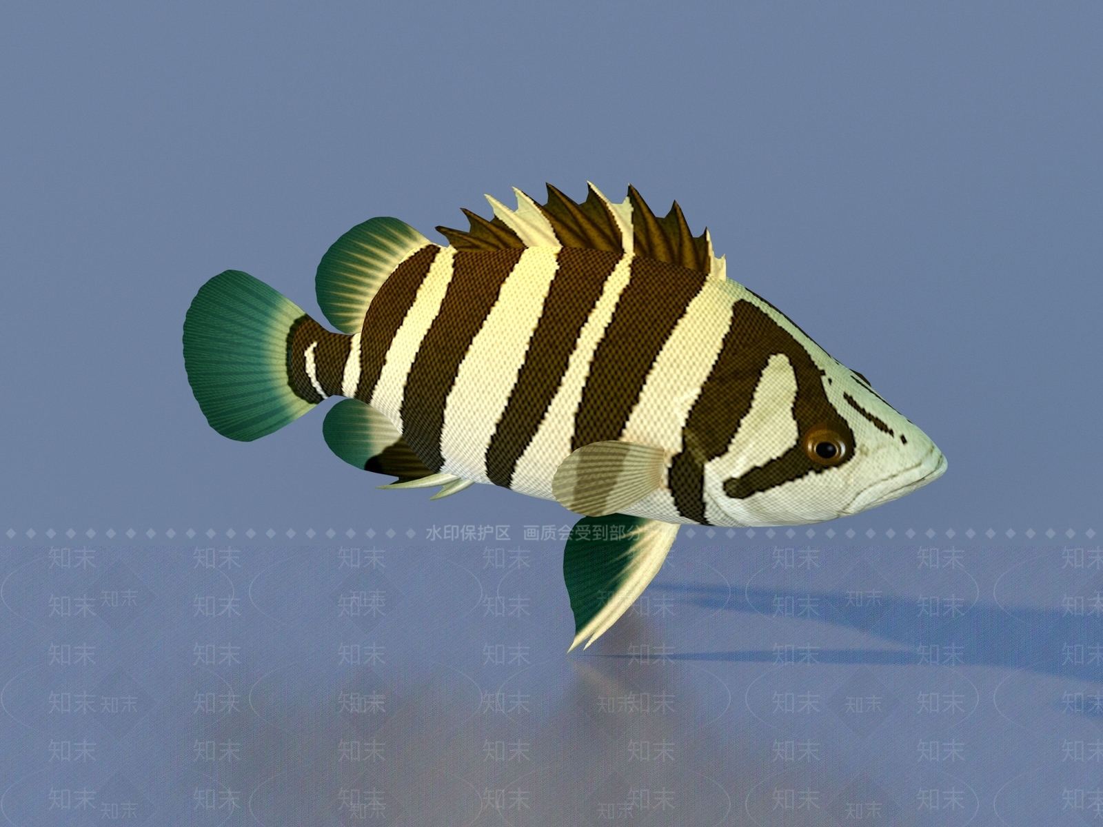 水生类动物3D模型下载【ID:1178415944】