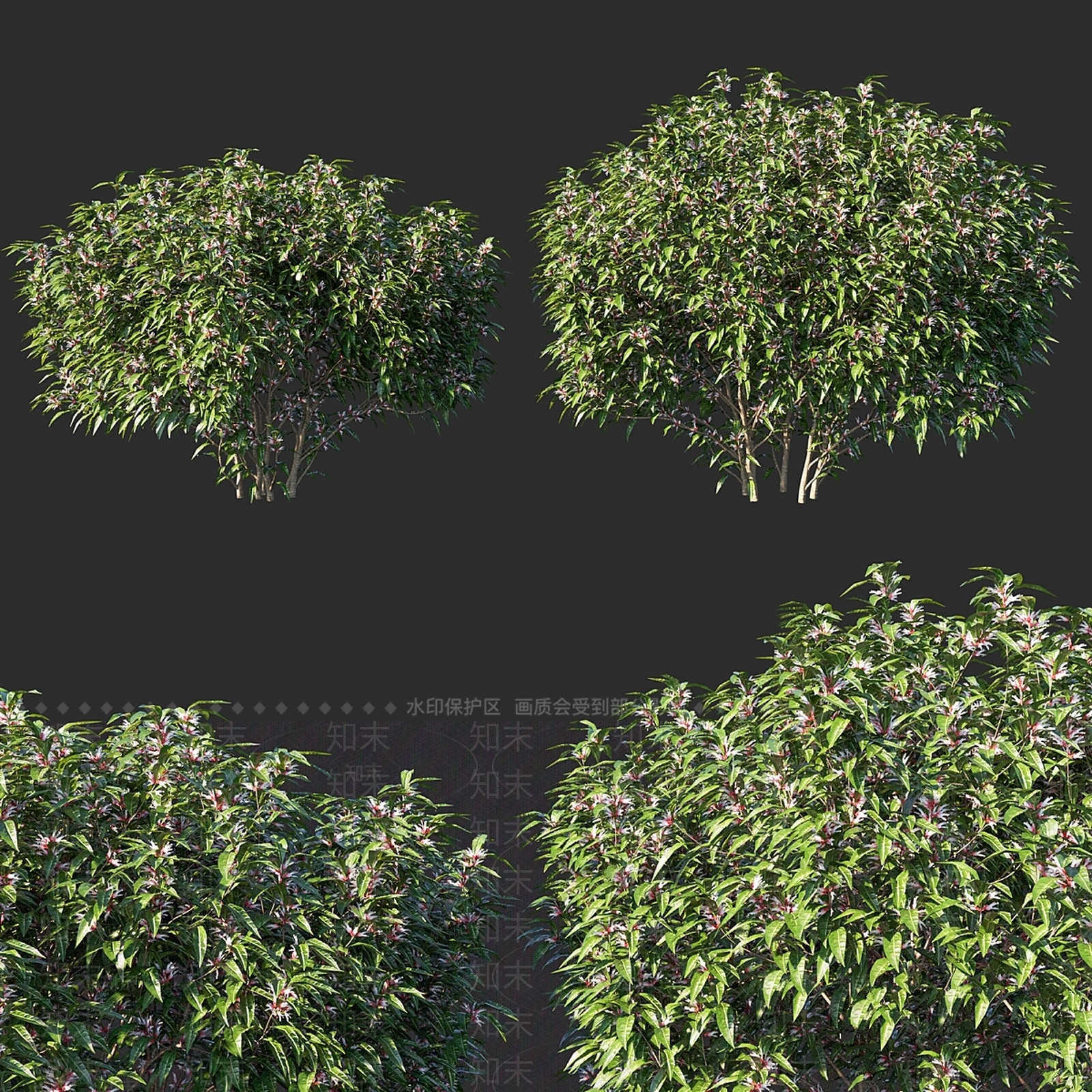 灌木3D模型下载【ID:1178433633】