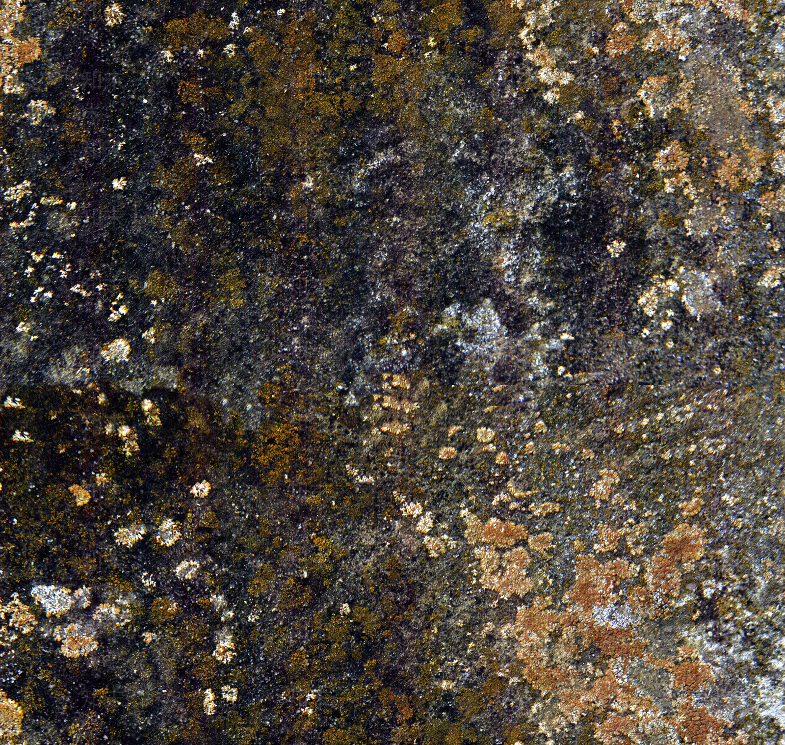 现代新中式其它墙面贴图下载【ID:1178434585】