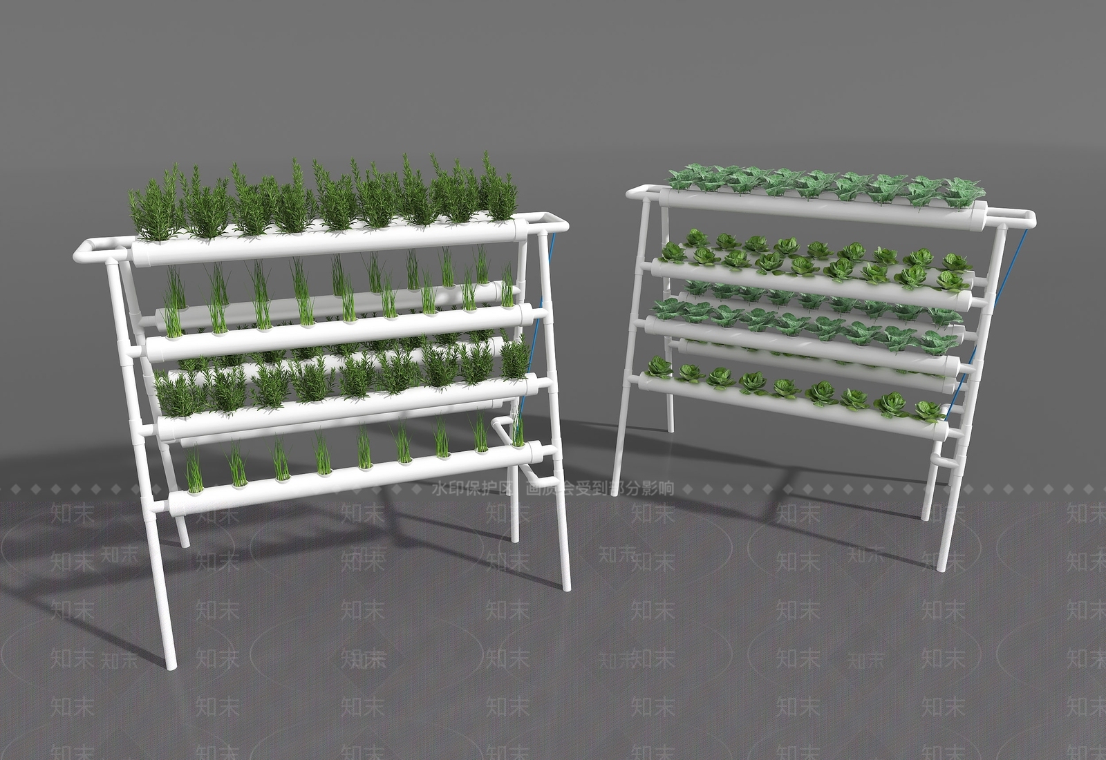 其他绿植3D模型下载【ID:1178462898】