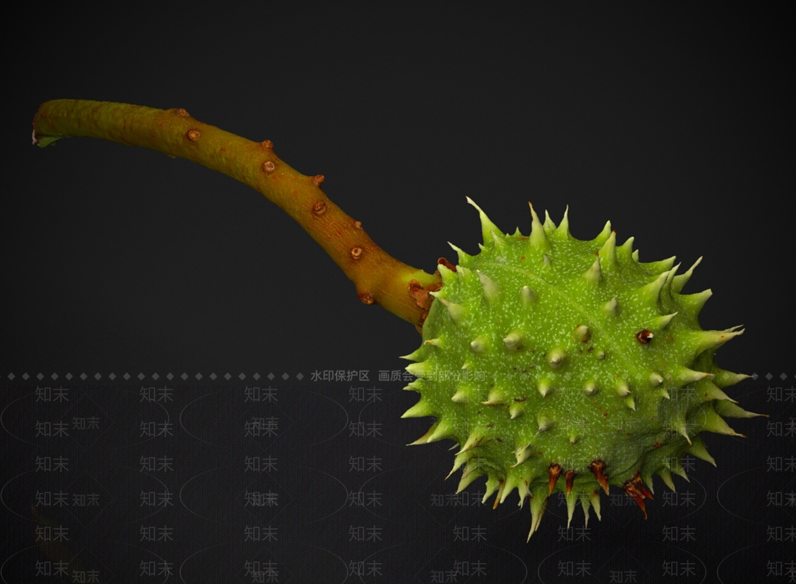 其他绿植3D模型下载【ID:1178467142】