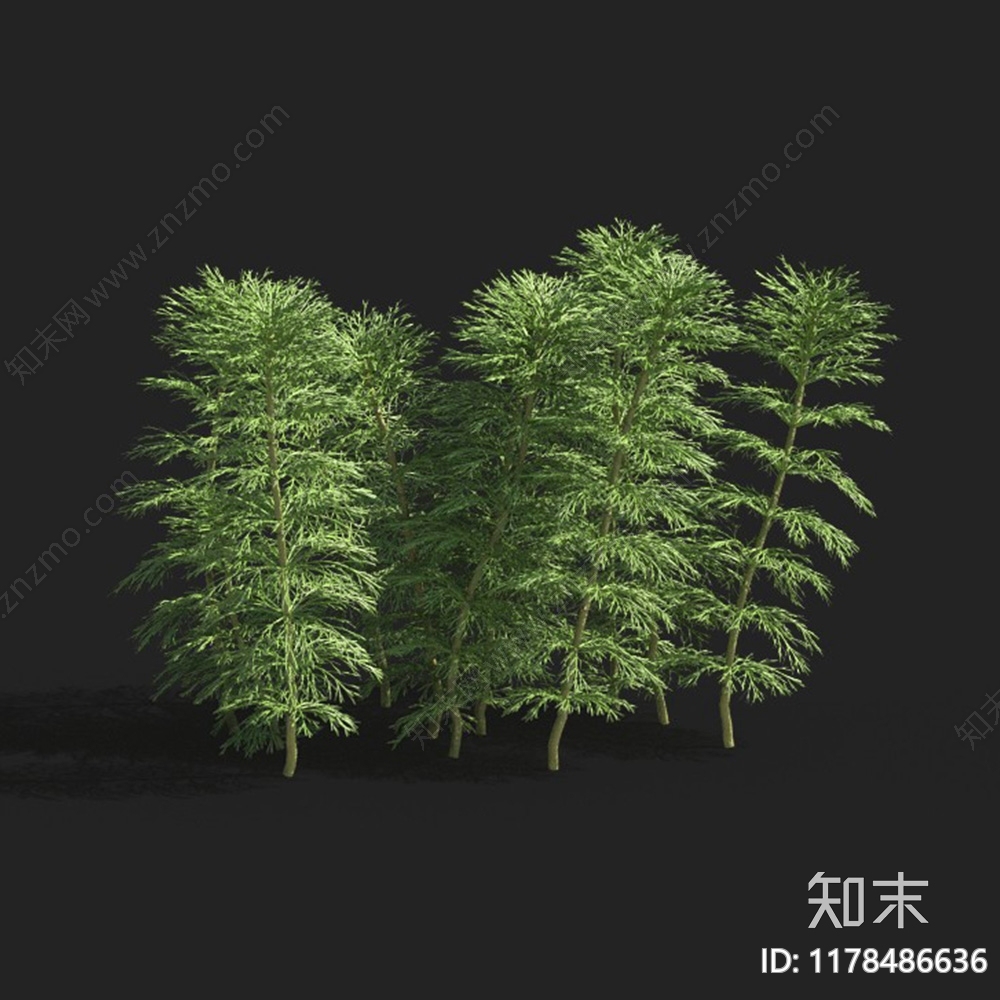 现代水下植物龙须草3D模型下载【ID:1178486636】