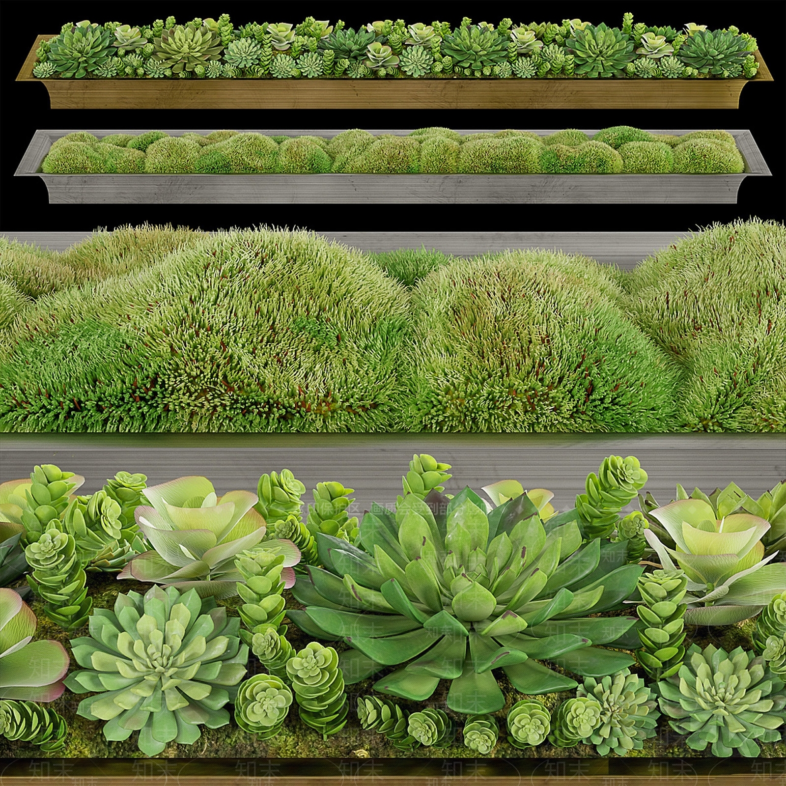 现代花3D模型渲染效果图