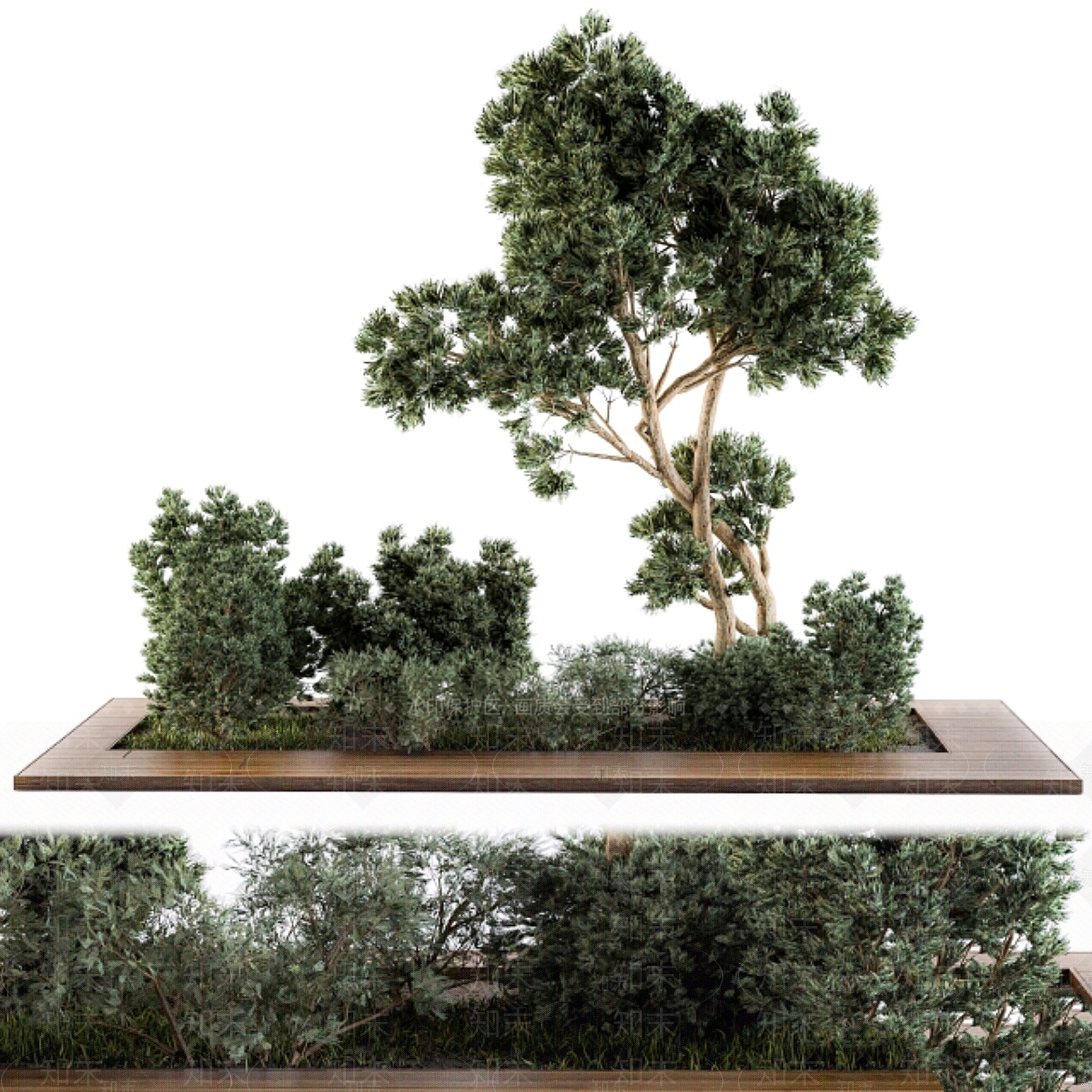 其他绿植3D模型下载【ID:1178594676】