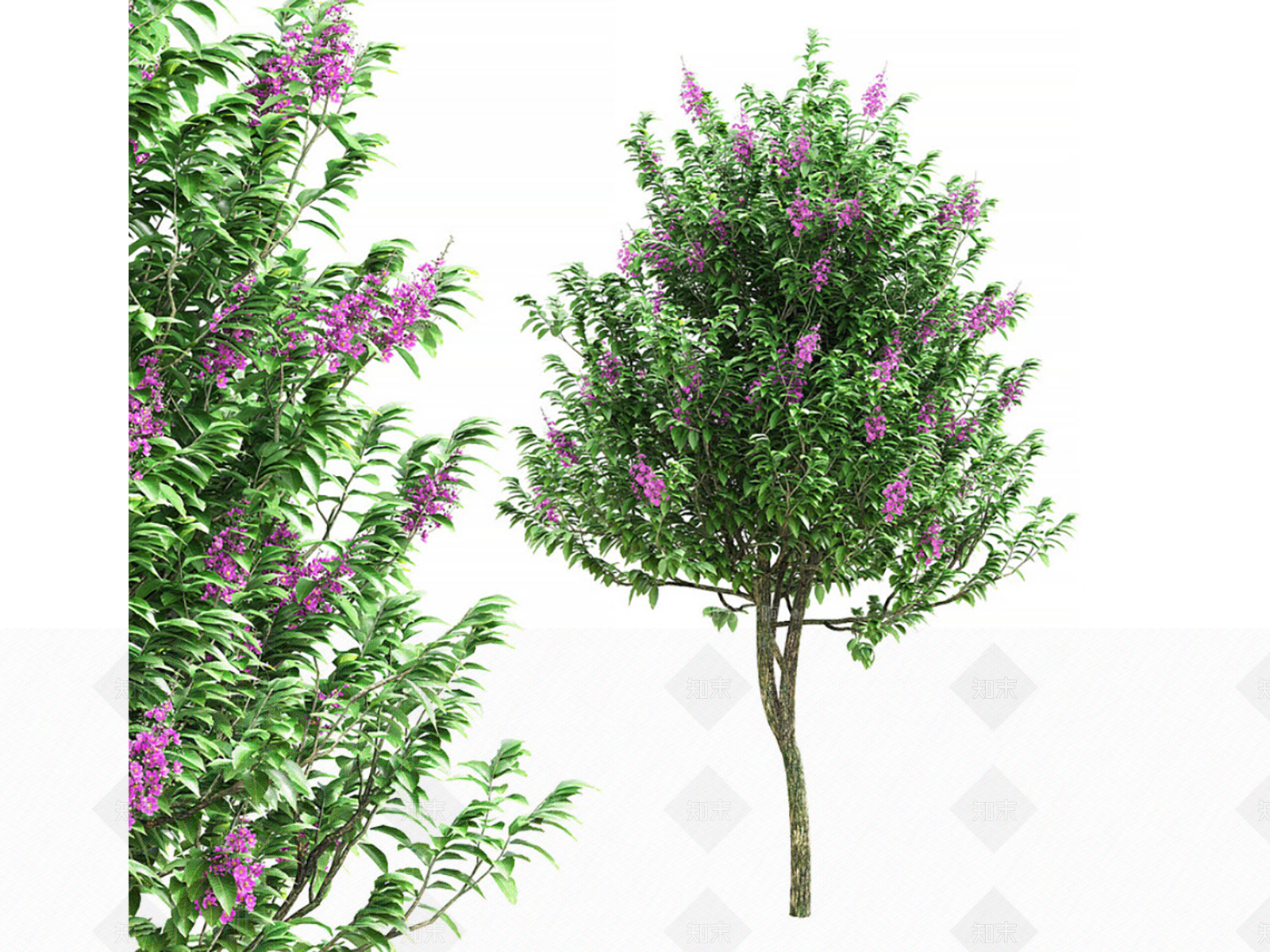 景观树3D模型下载【ID:1178695913】