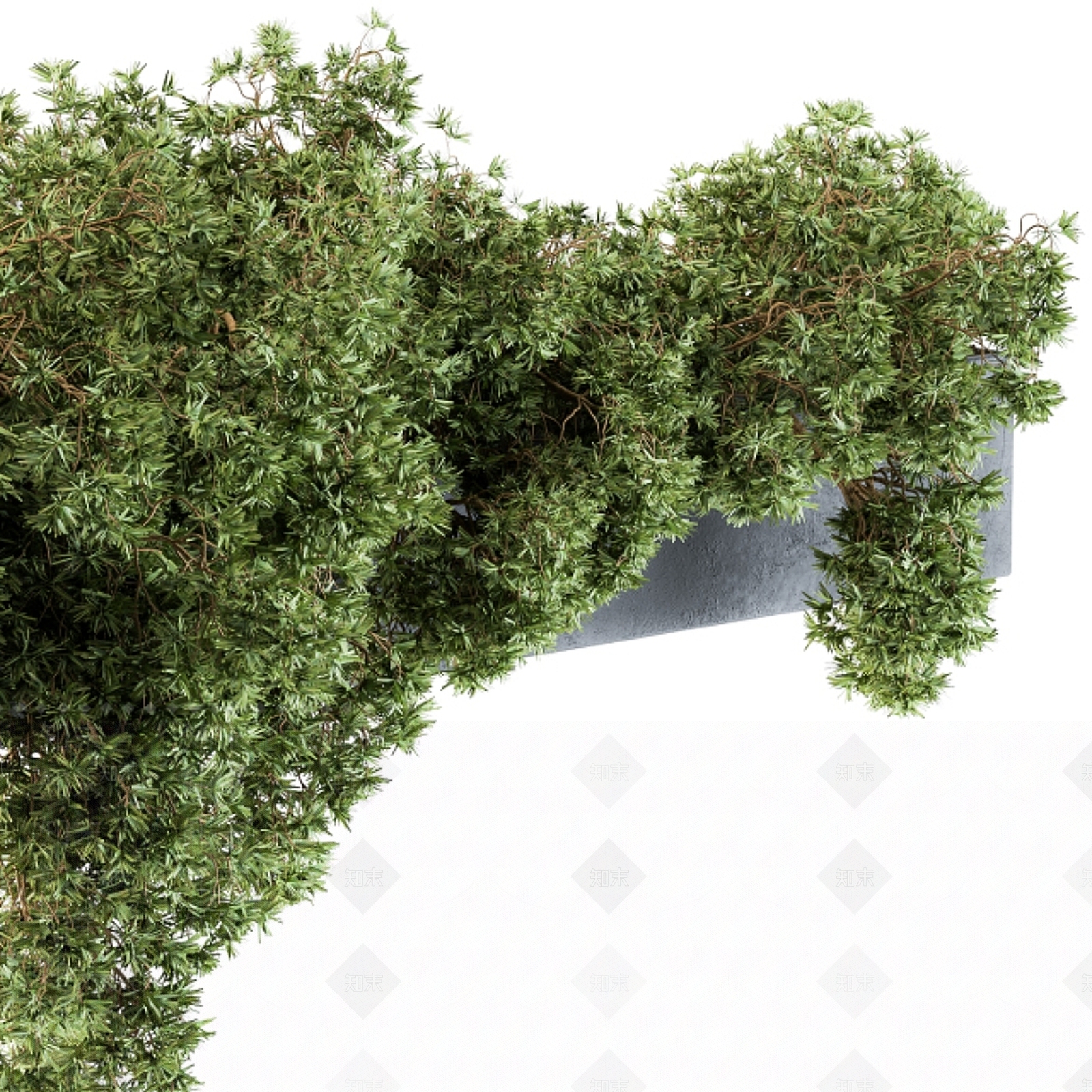 其他绿植3D模型下载【ID:1178724223】