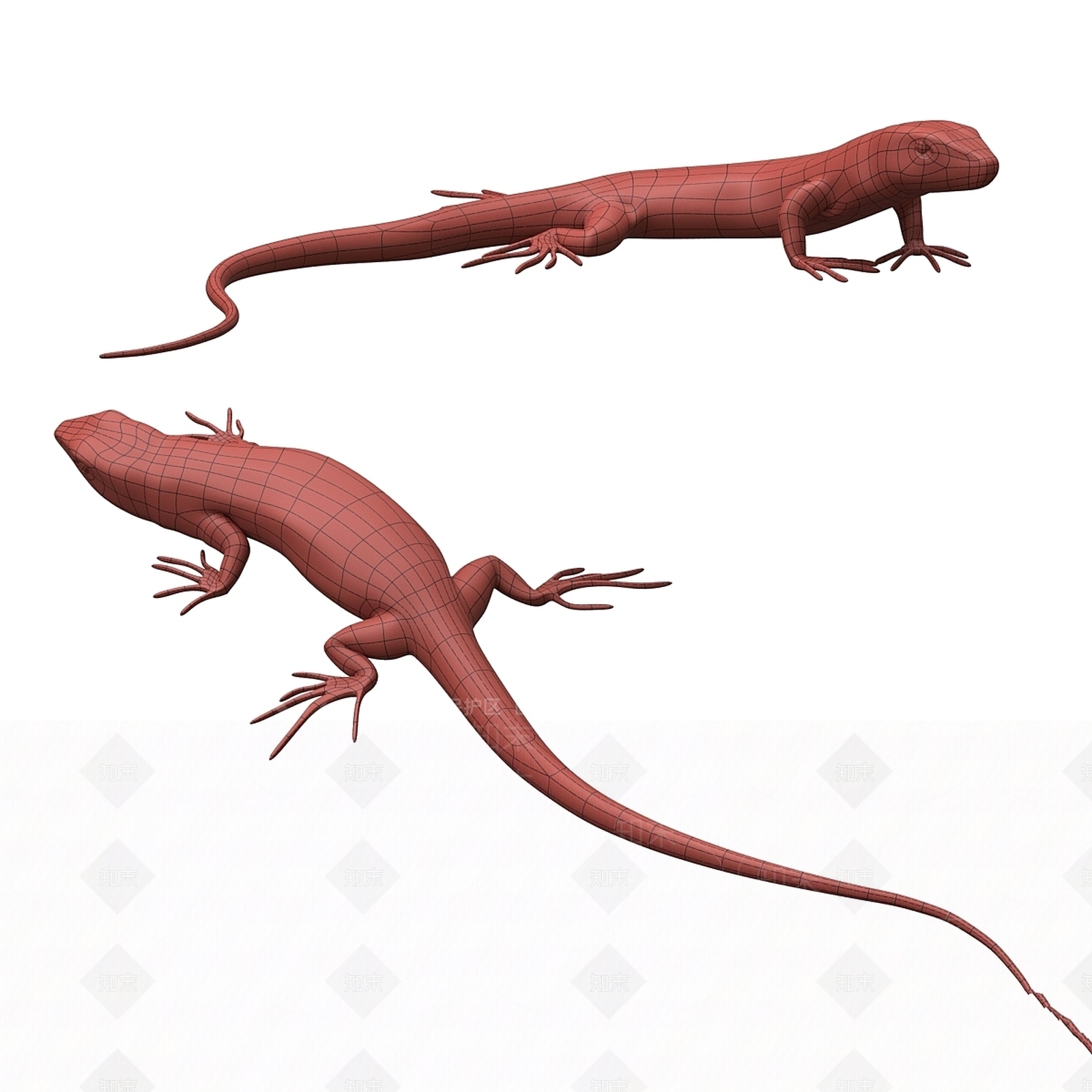 其他动物3D模型下载【ID:1178812202】
